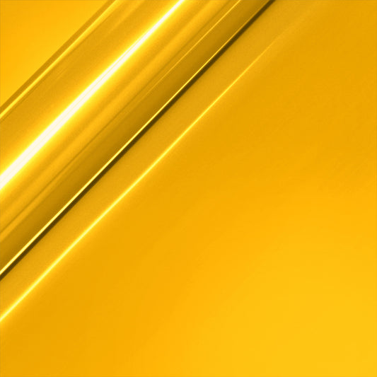 309646027.jpg