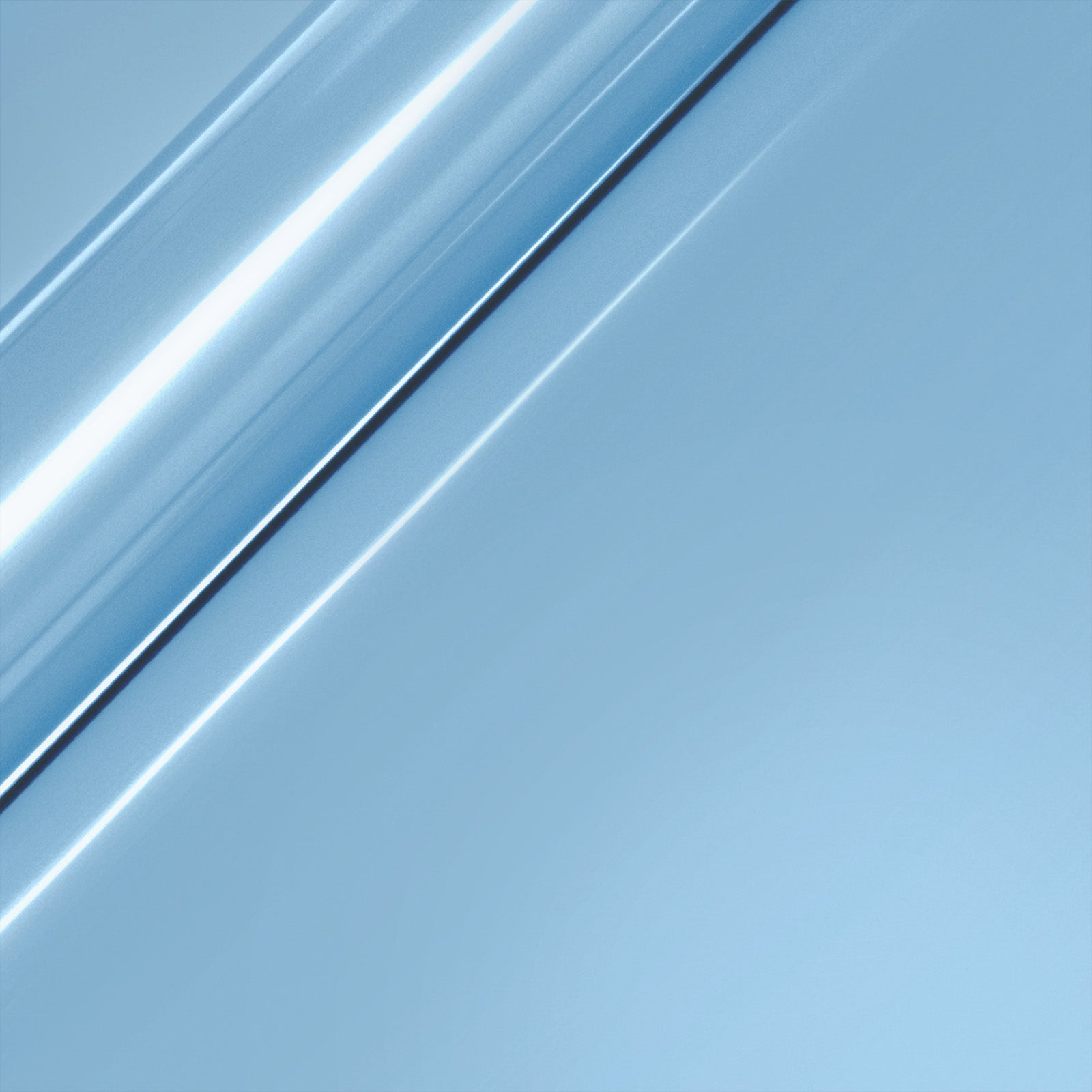 309646057.jpg