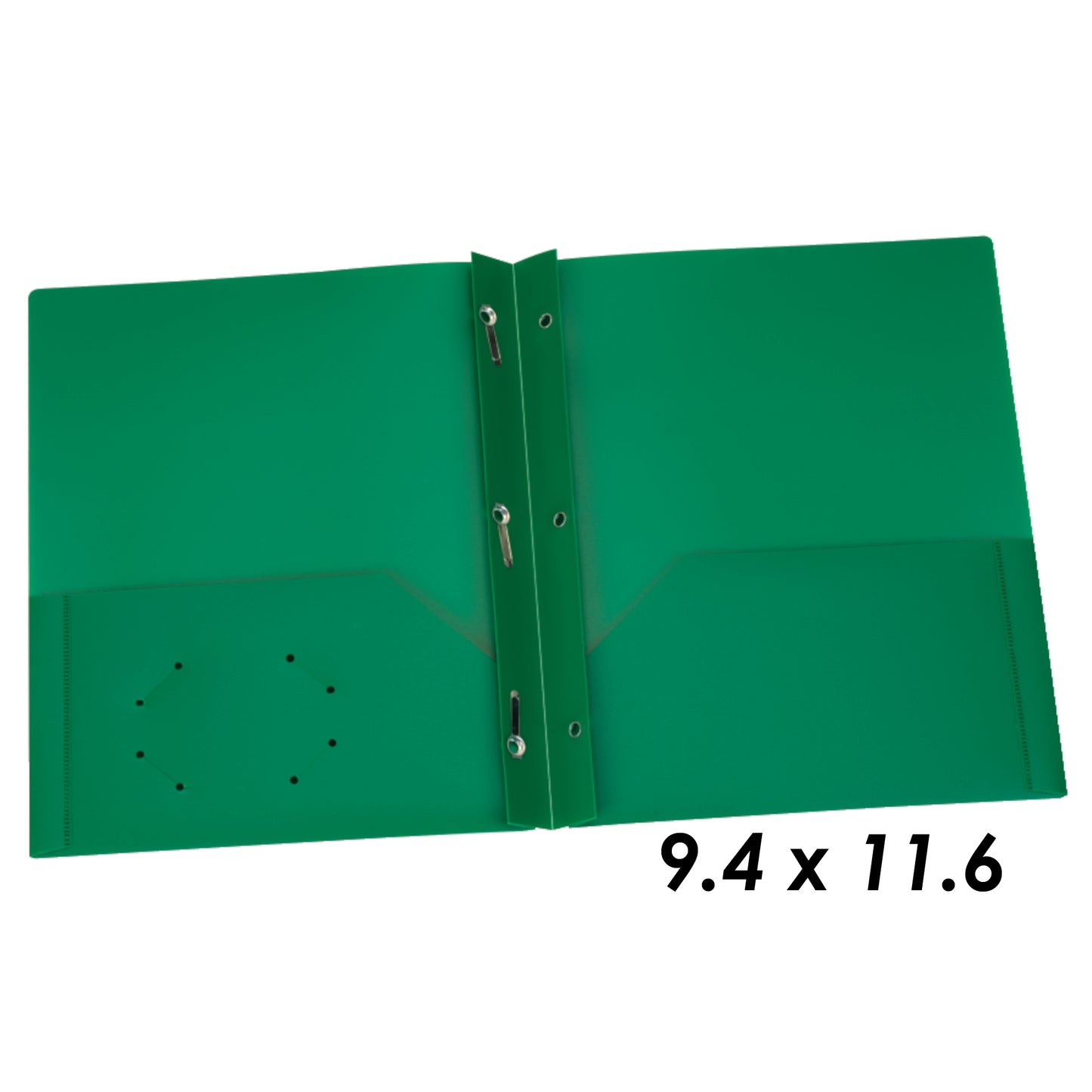 309646830.jpg