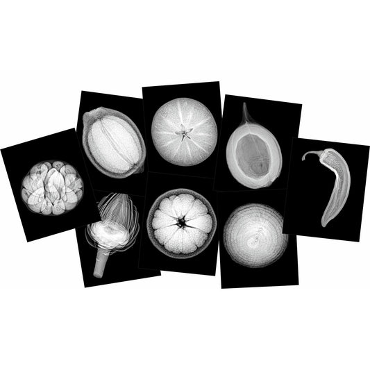309647295.jpg