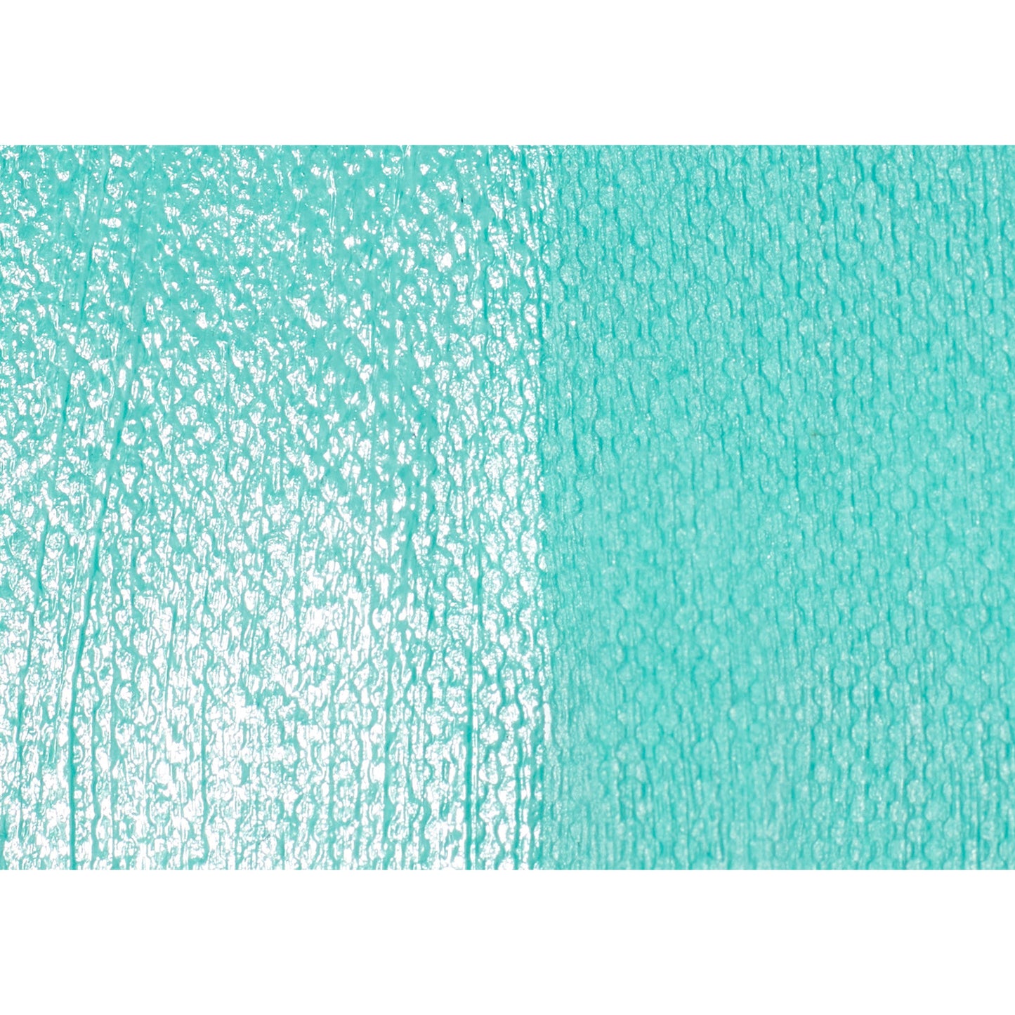 309647369.jpg