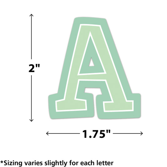 309647866.jpg