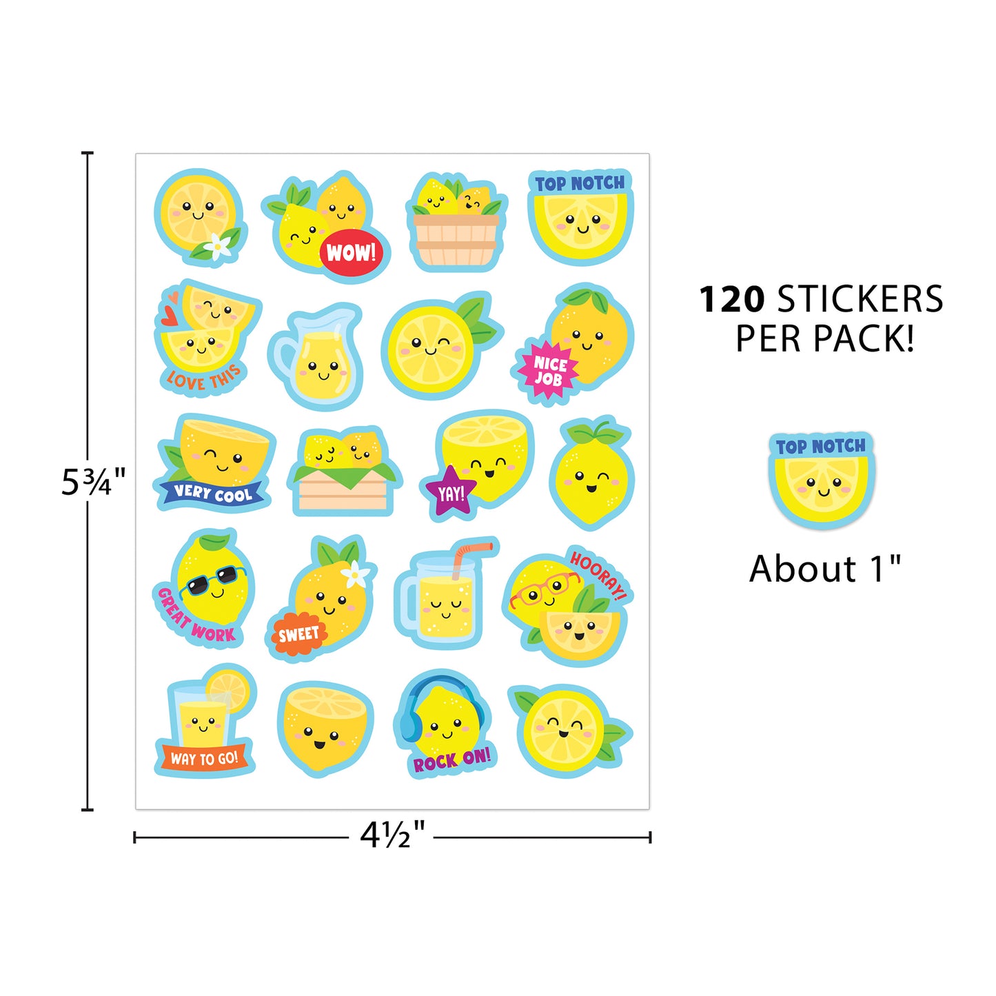 309648135.jpg