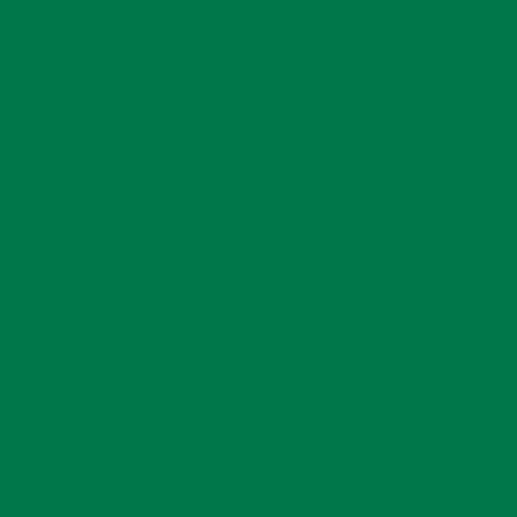 309648529.jpg