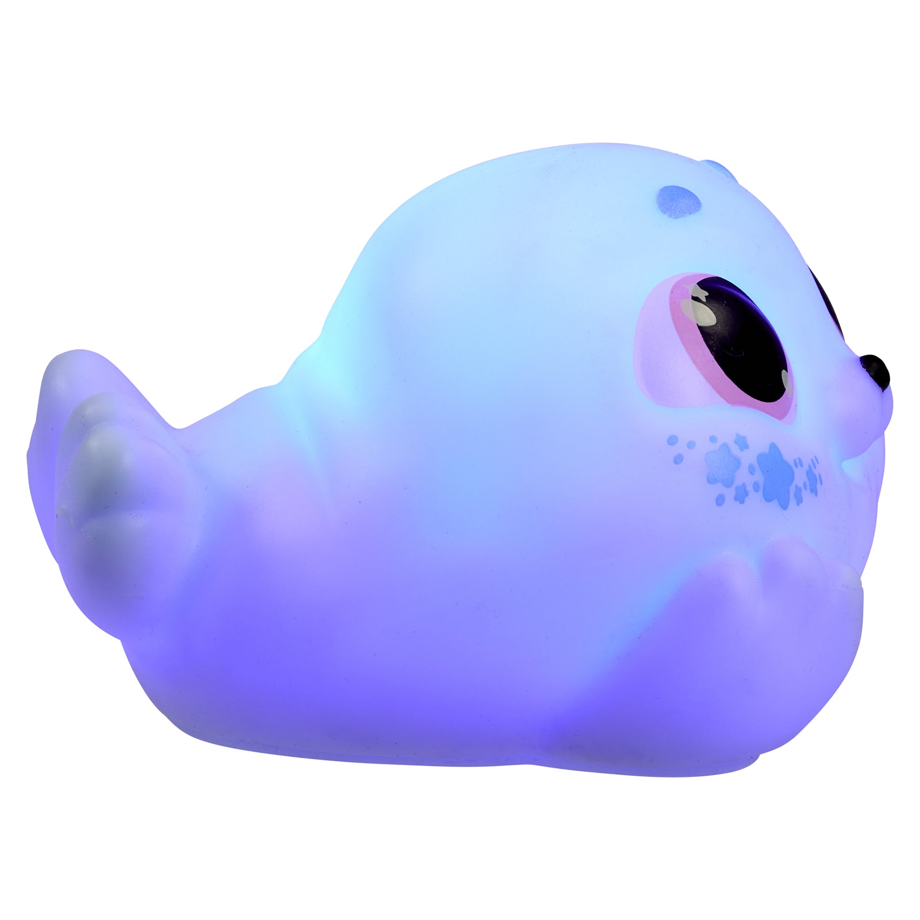 309648864.jpg