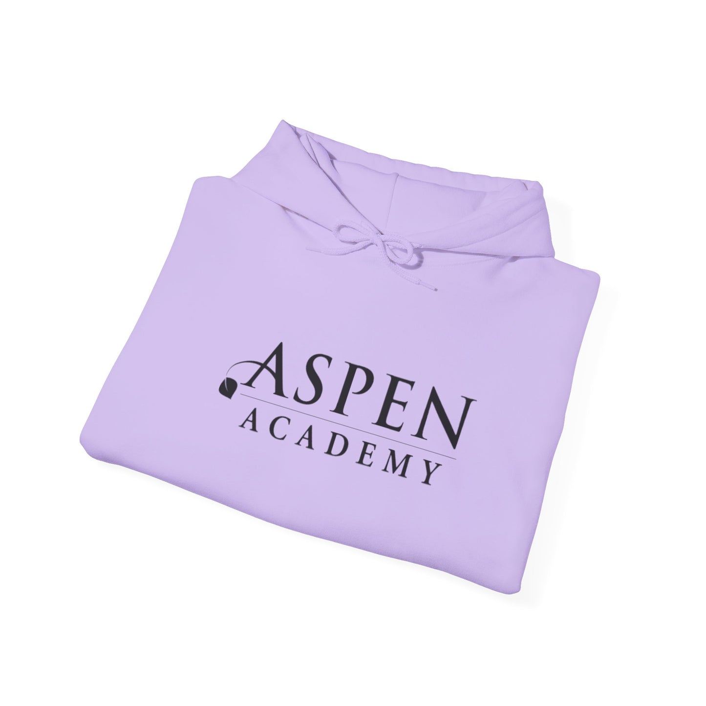 Aspen Academy Unisex Heavy Blend™ Hooded Sweatshirt