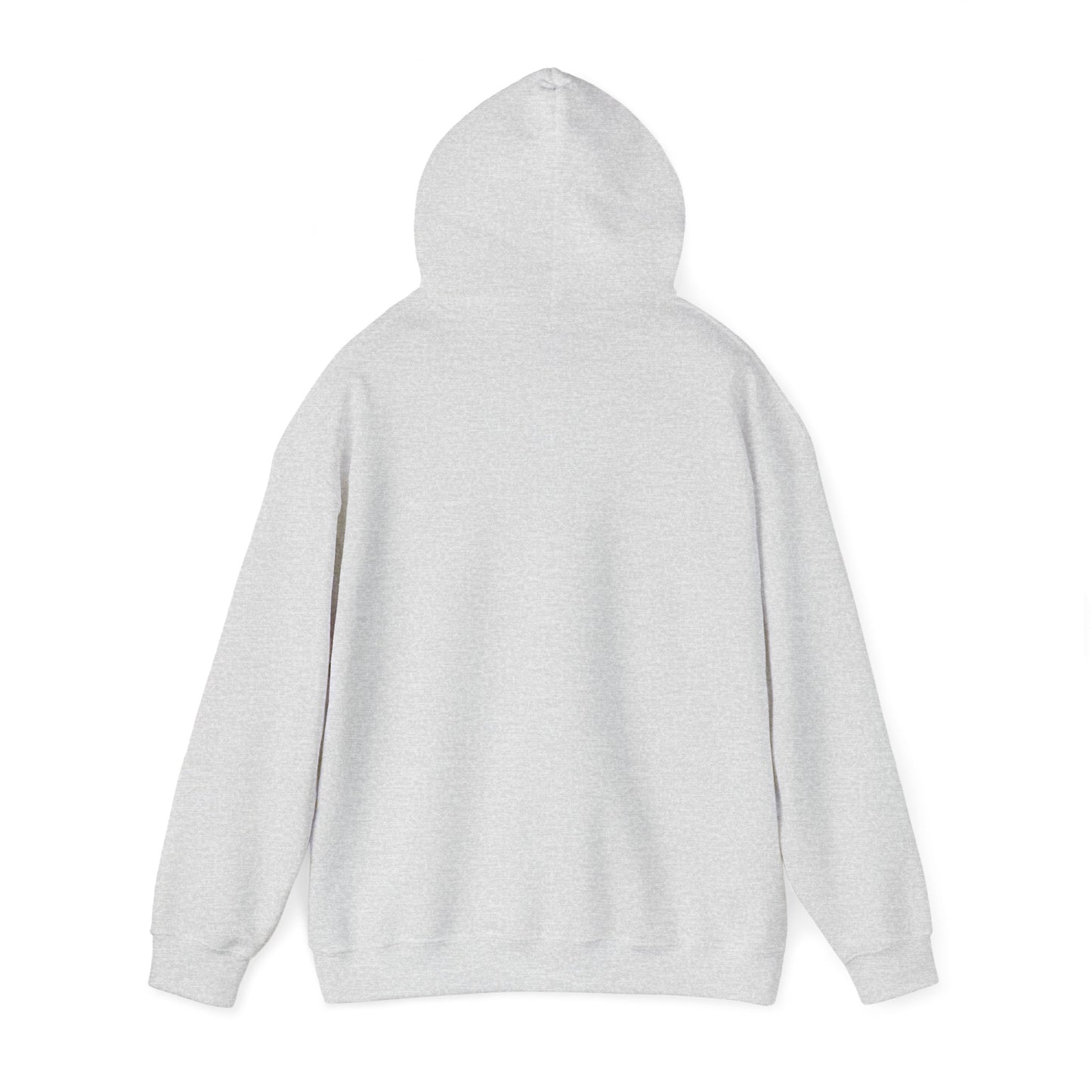 DProV TV Unisex Heavy Blend™ Hooded Sweatshirt