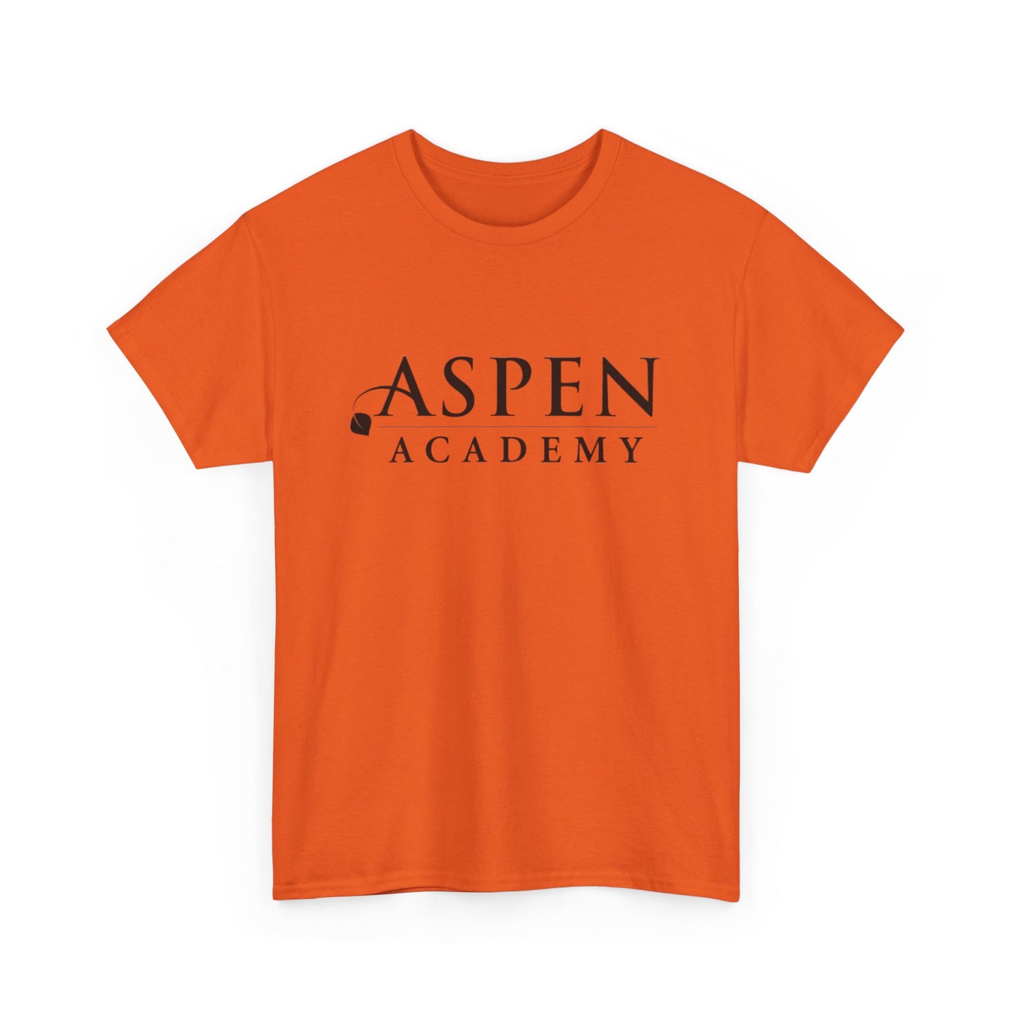 Aspen Academy Unisex Heavy Cotton Tee