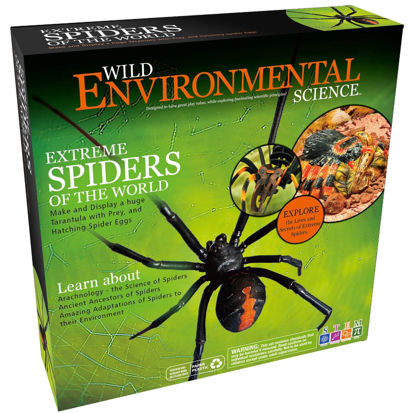 372393081.jpg