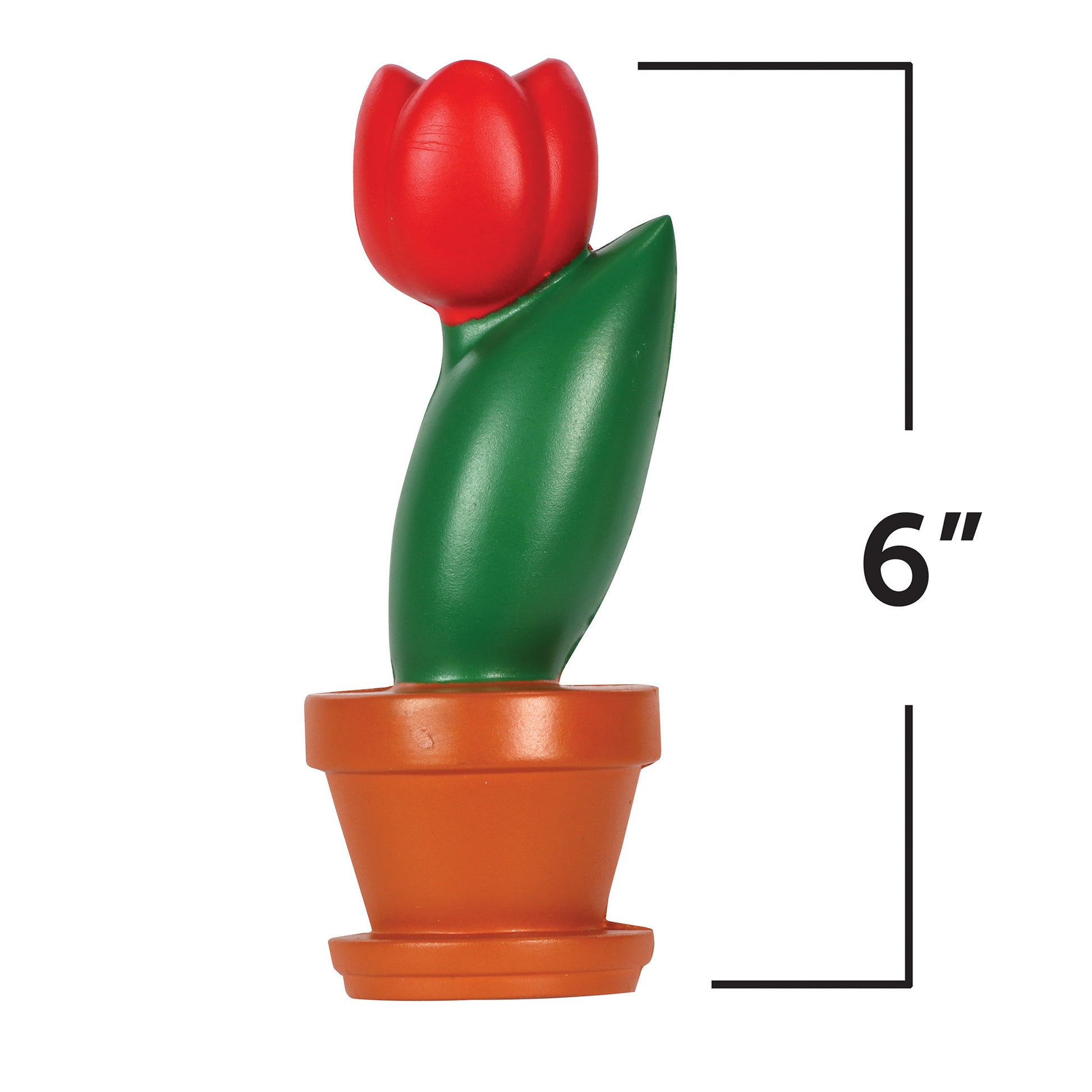 372400031.jpg