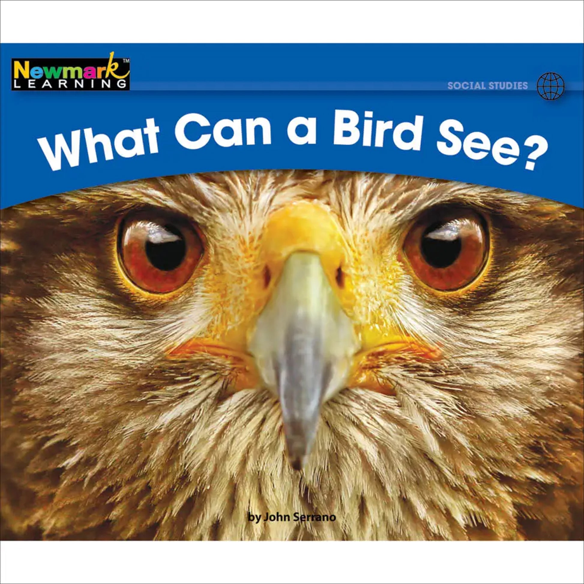 372401279.jpg
