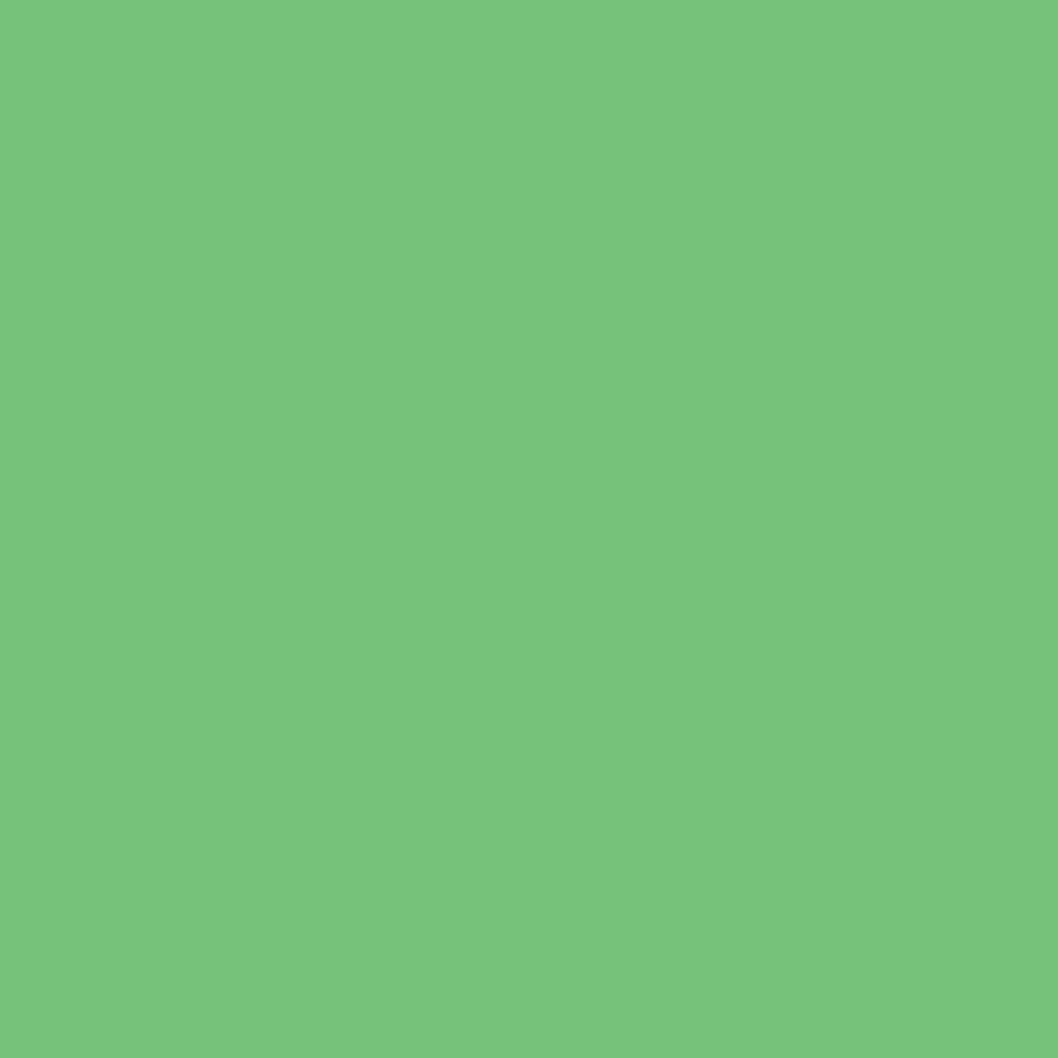 372401950.jpg