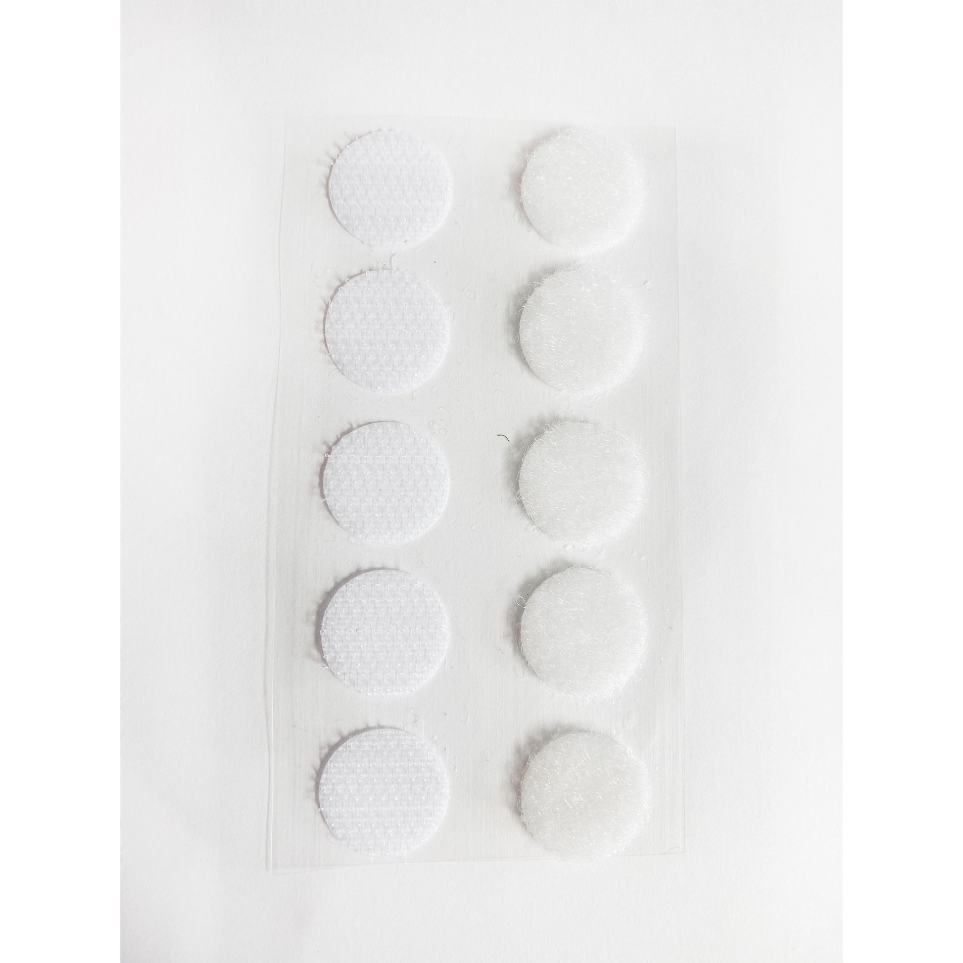 372404318.jpg