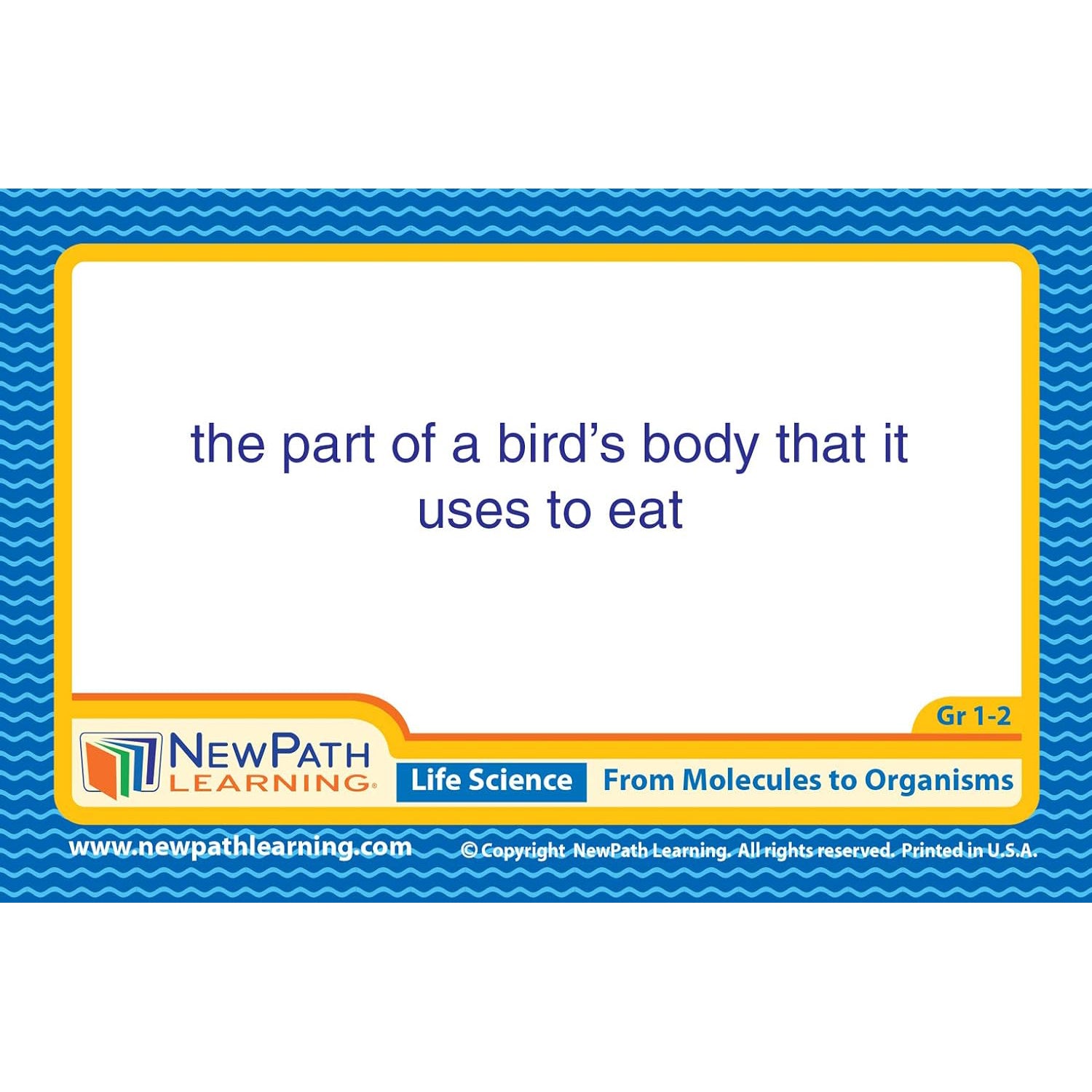 372405279.jpg