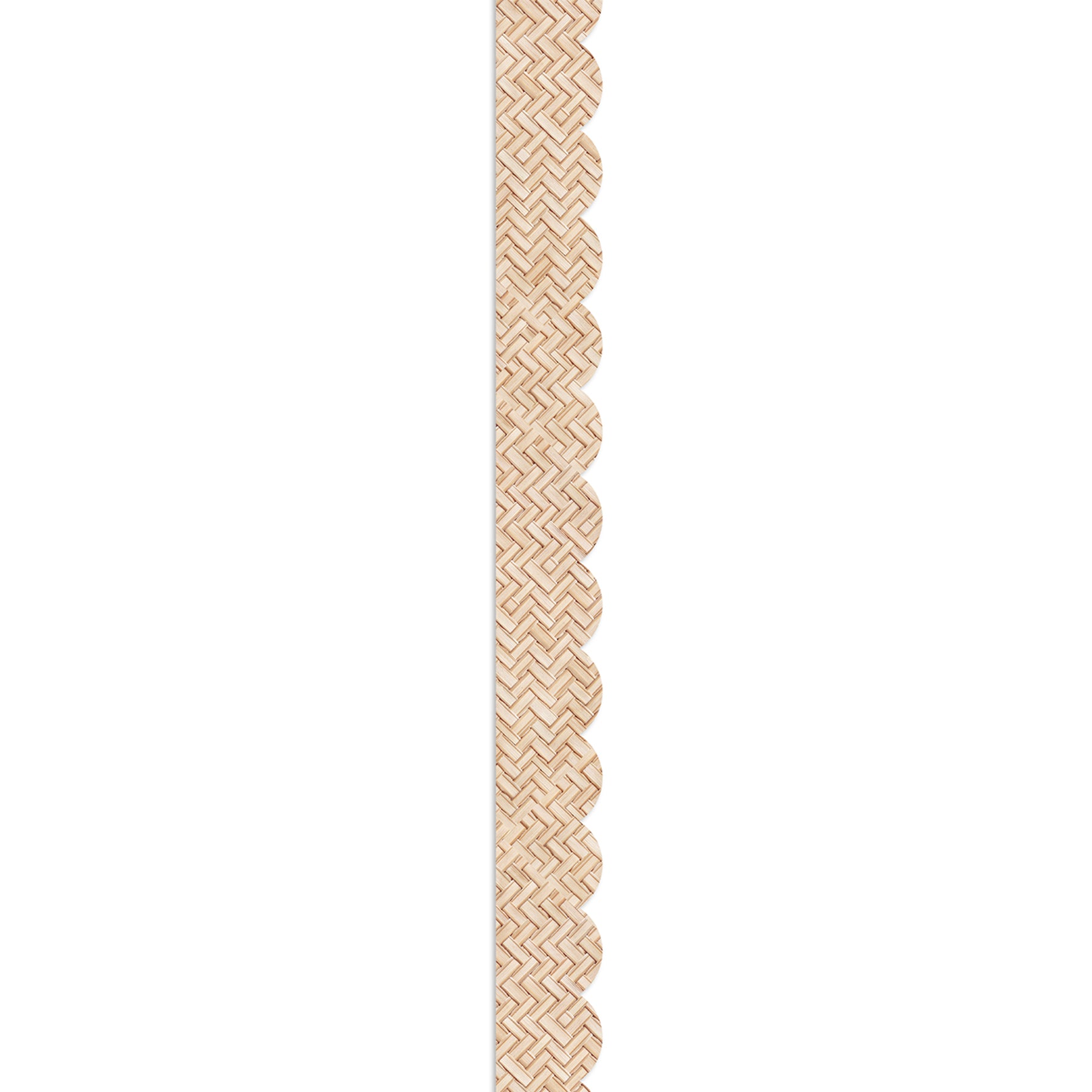 372410399.jpg