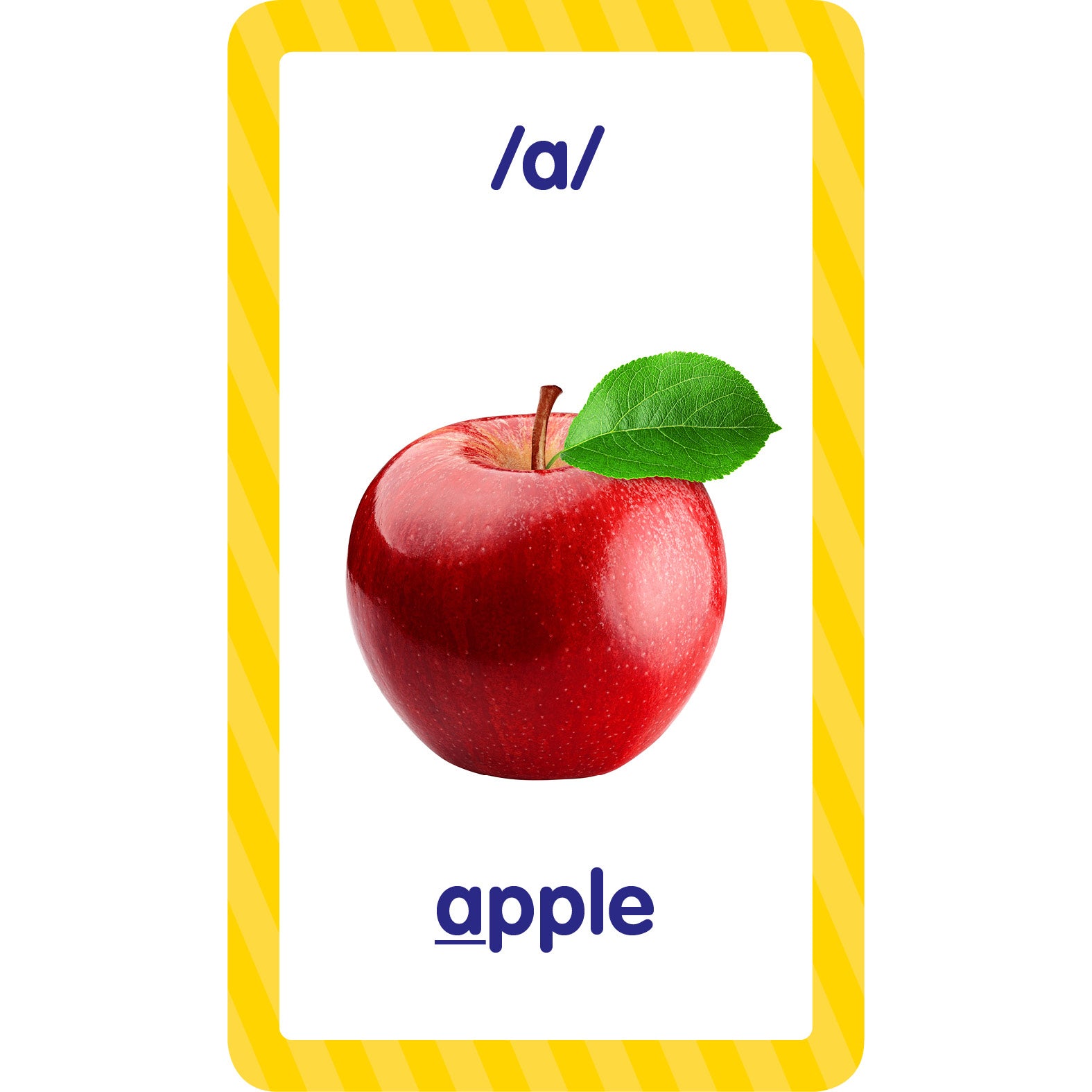 372411231.jpg