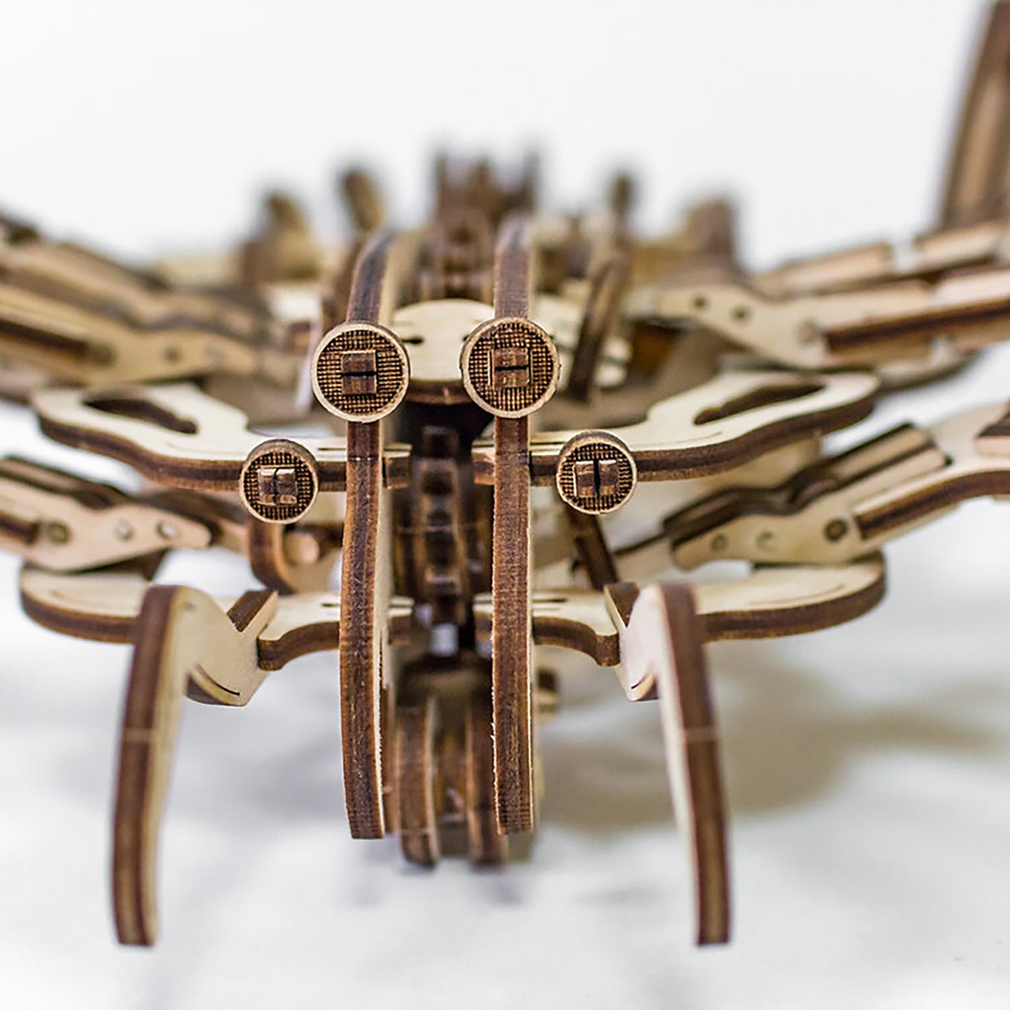 372411344.jpg