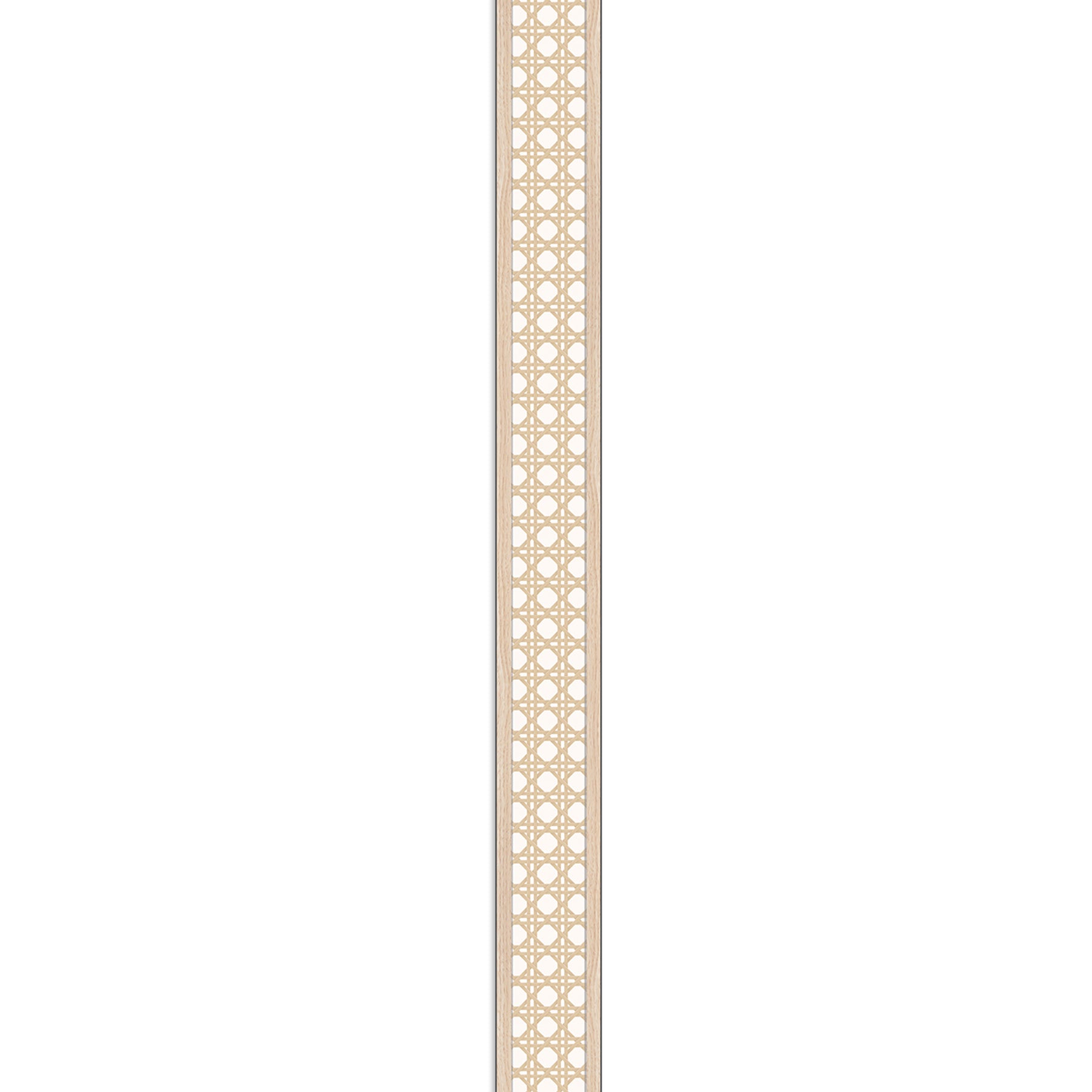 372411366.jpg