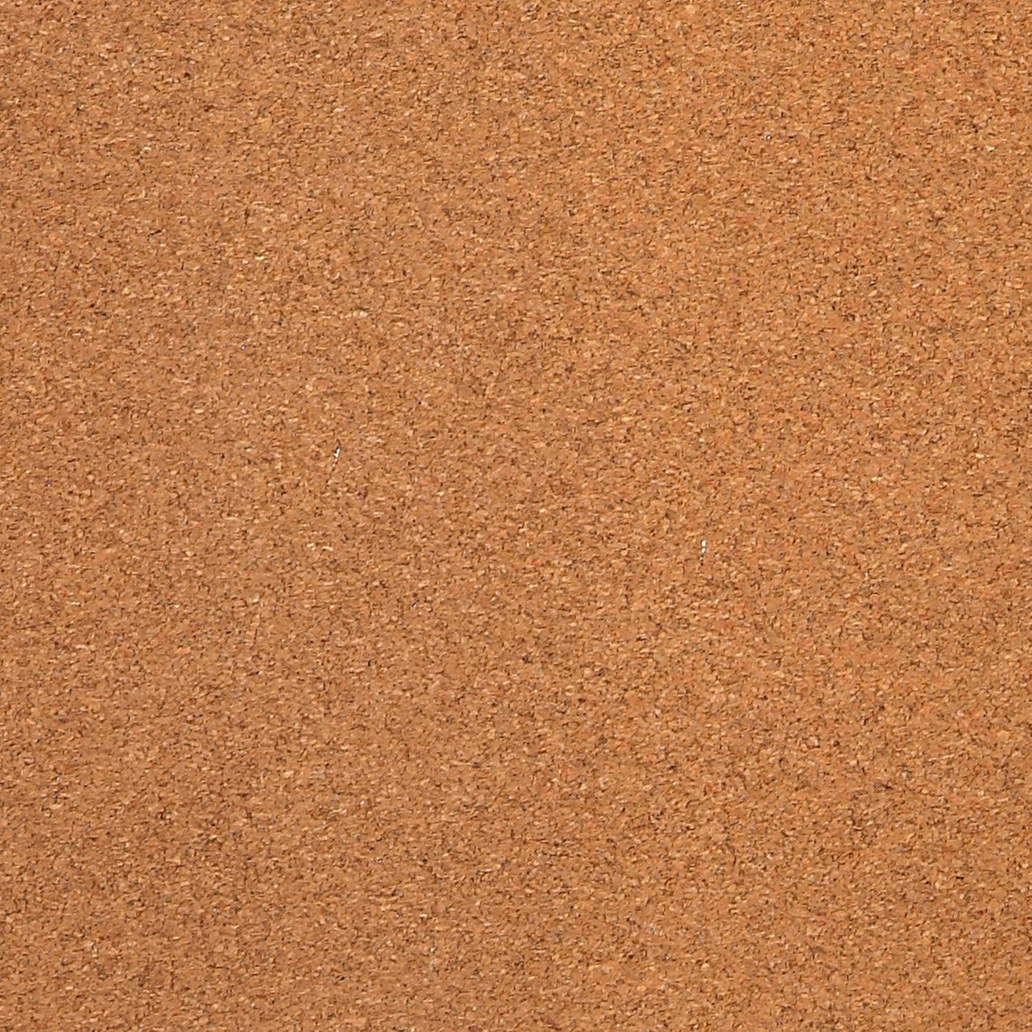 372413136.jpg