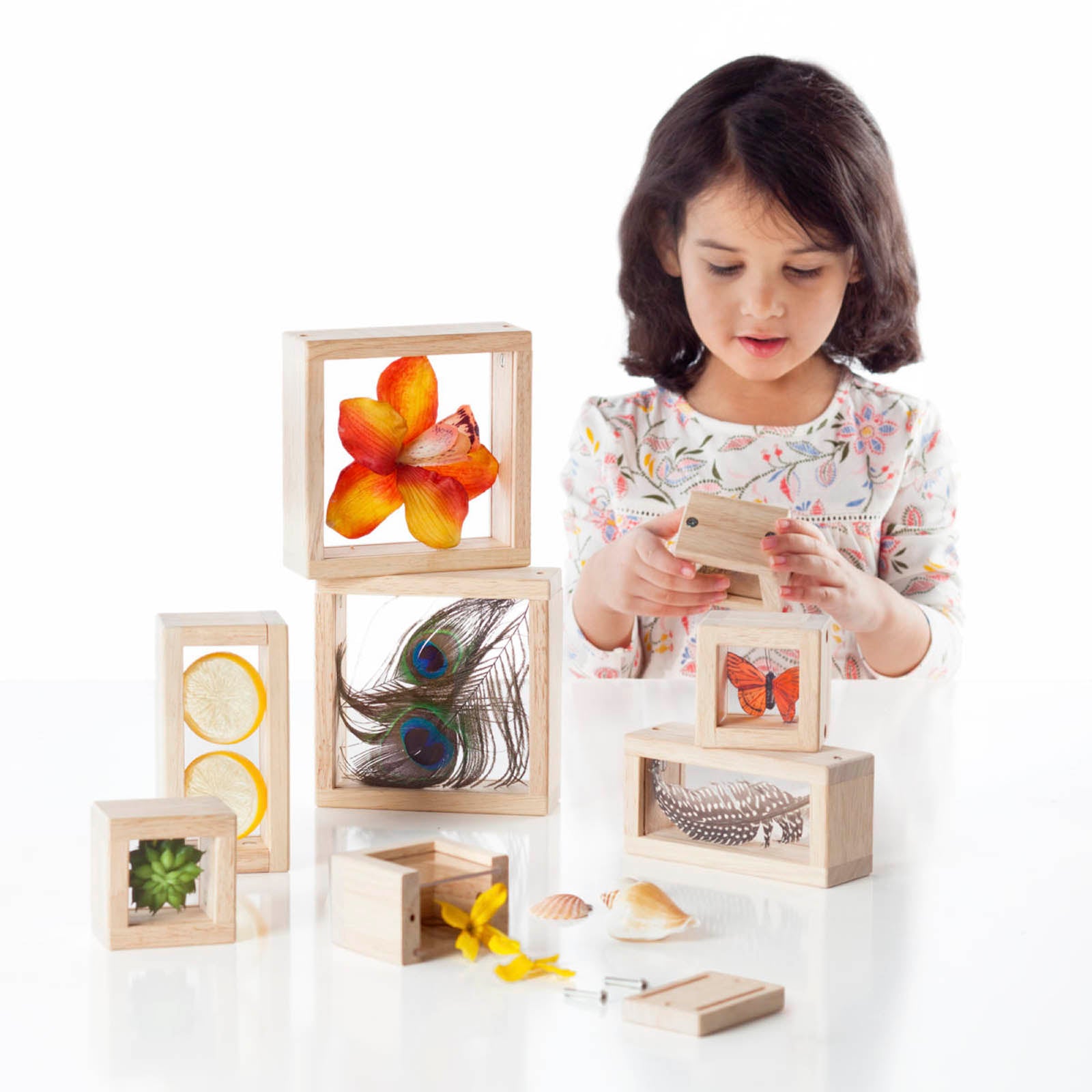 372413342.jpg