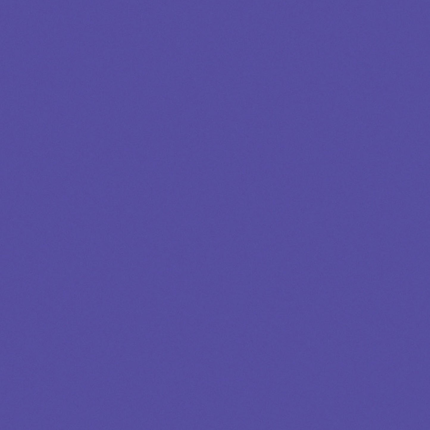 372413646.jpg
