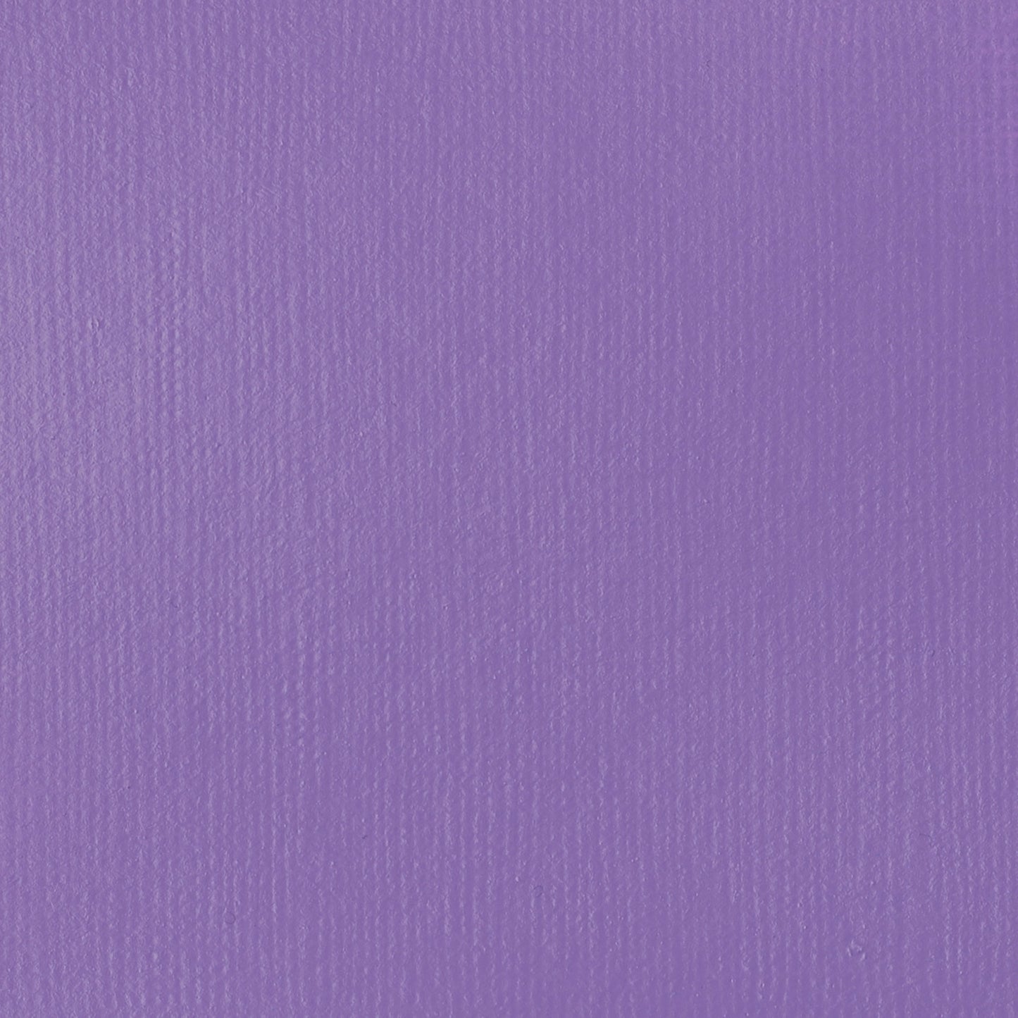372421504.jpg
