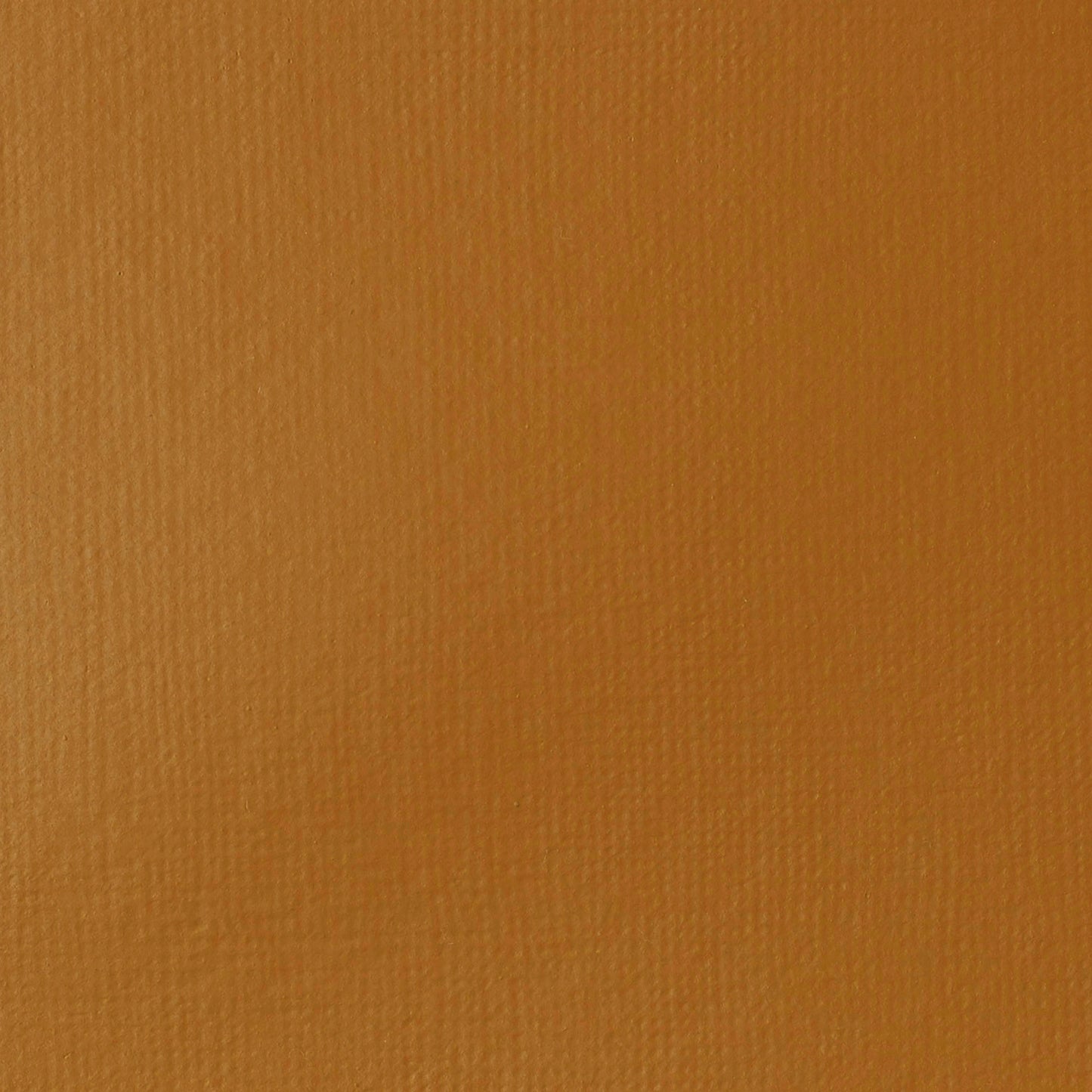372421850.jpg