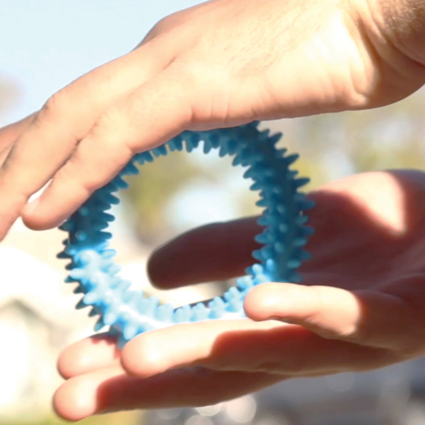 372423244.jpg