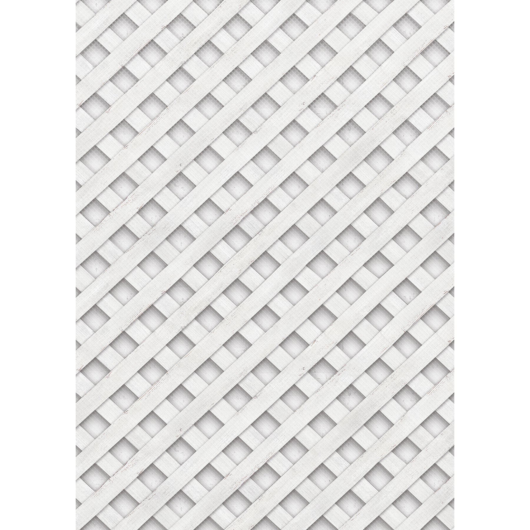 372429145.jpg