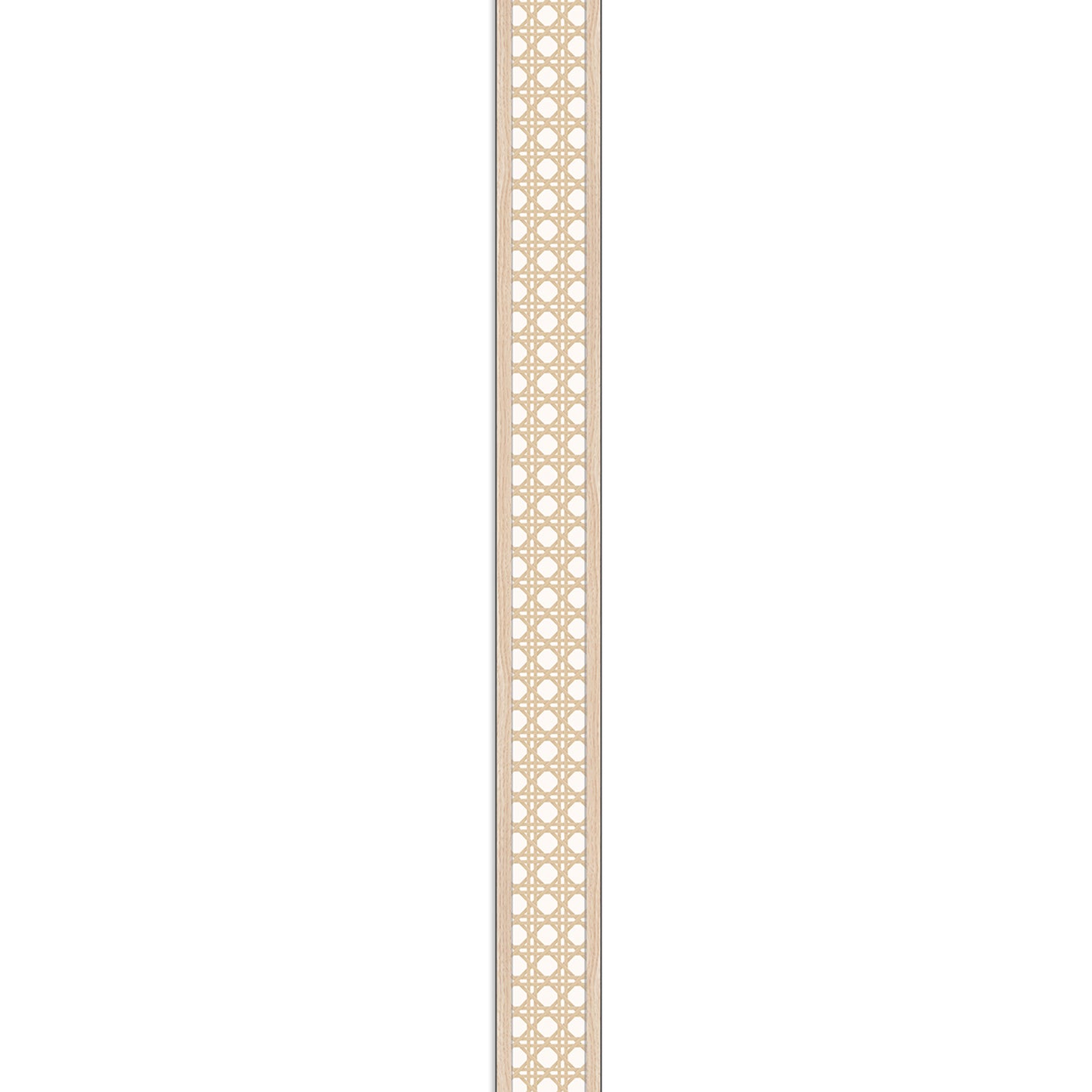 372430851.jpg