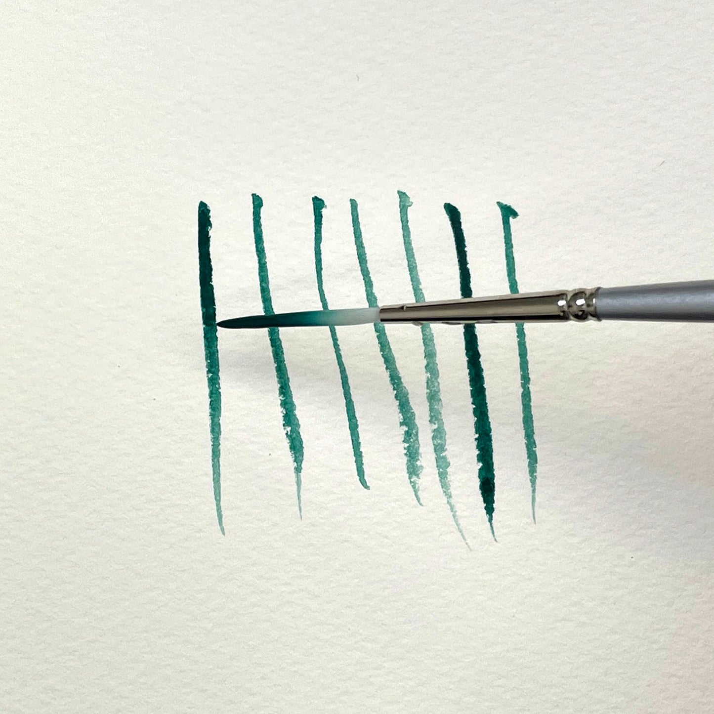 372432840.jpg