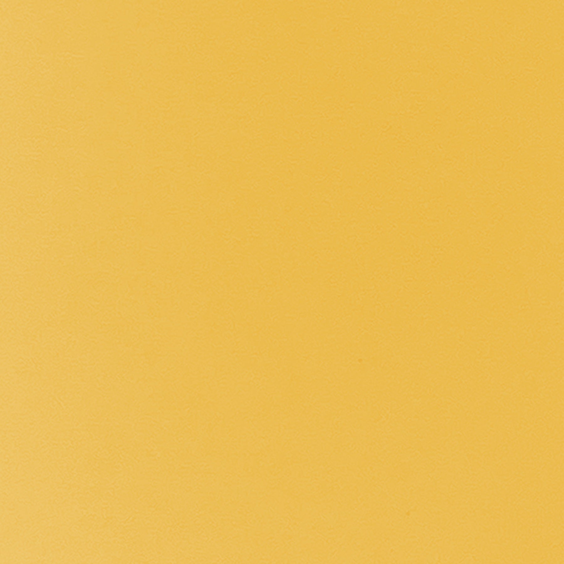 372440271.jpg