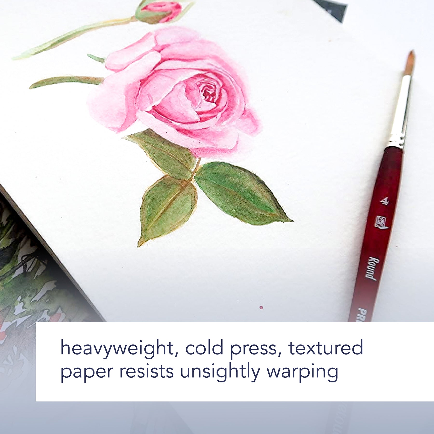 372440338.jpg