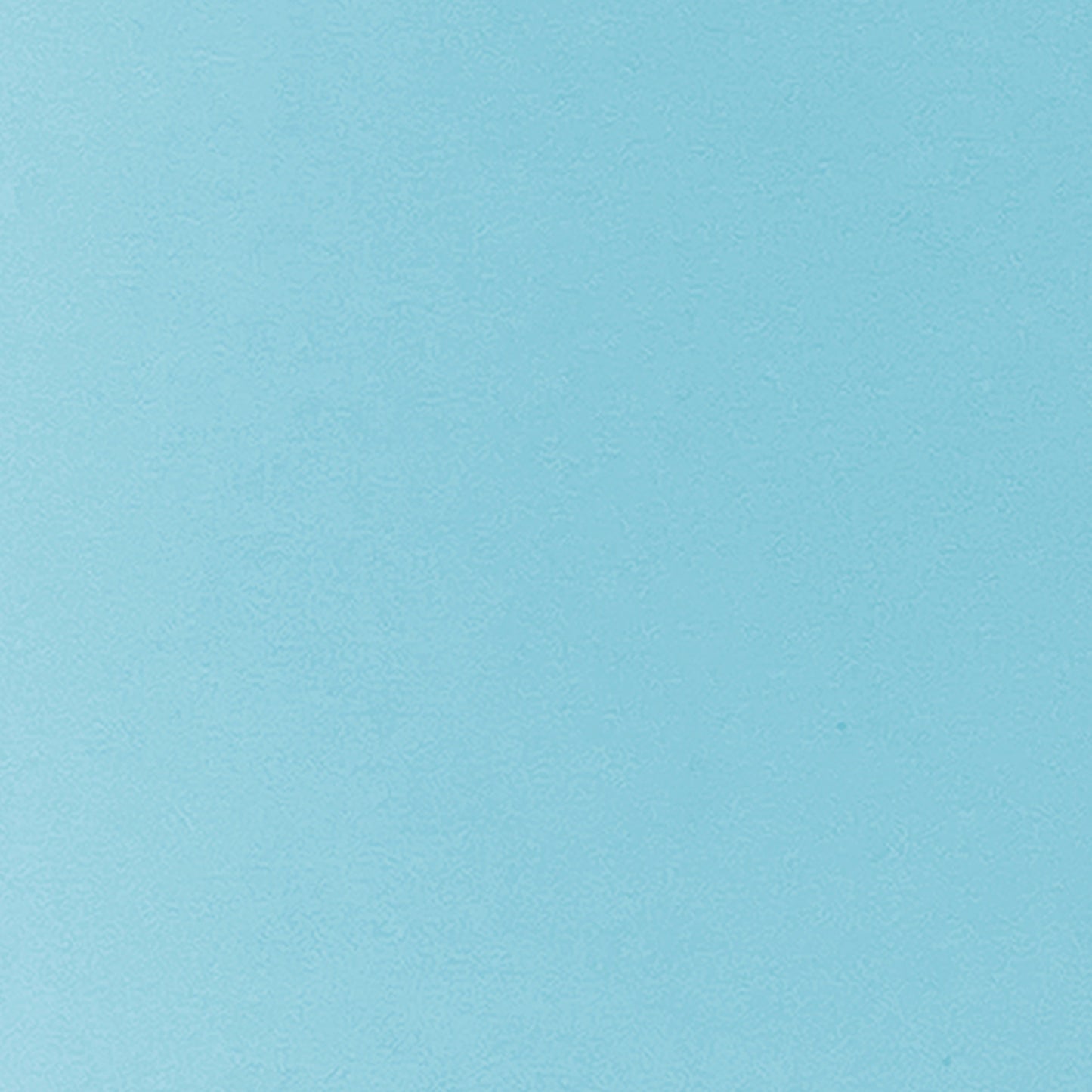 372440447.jpg