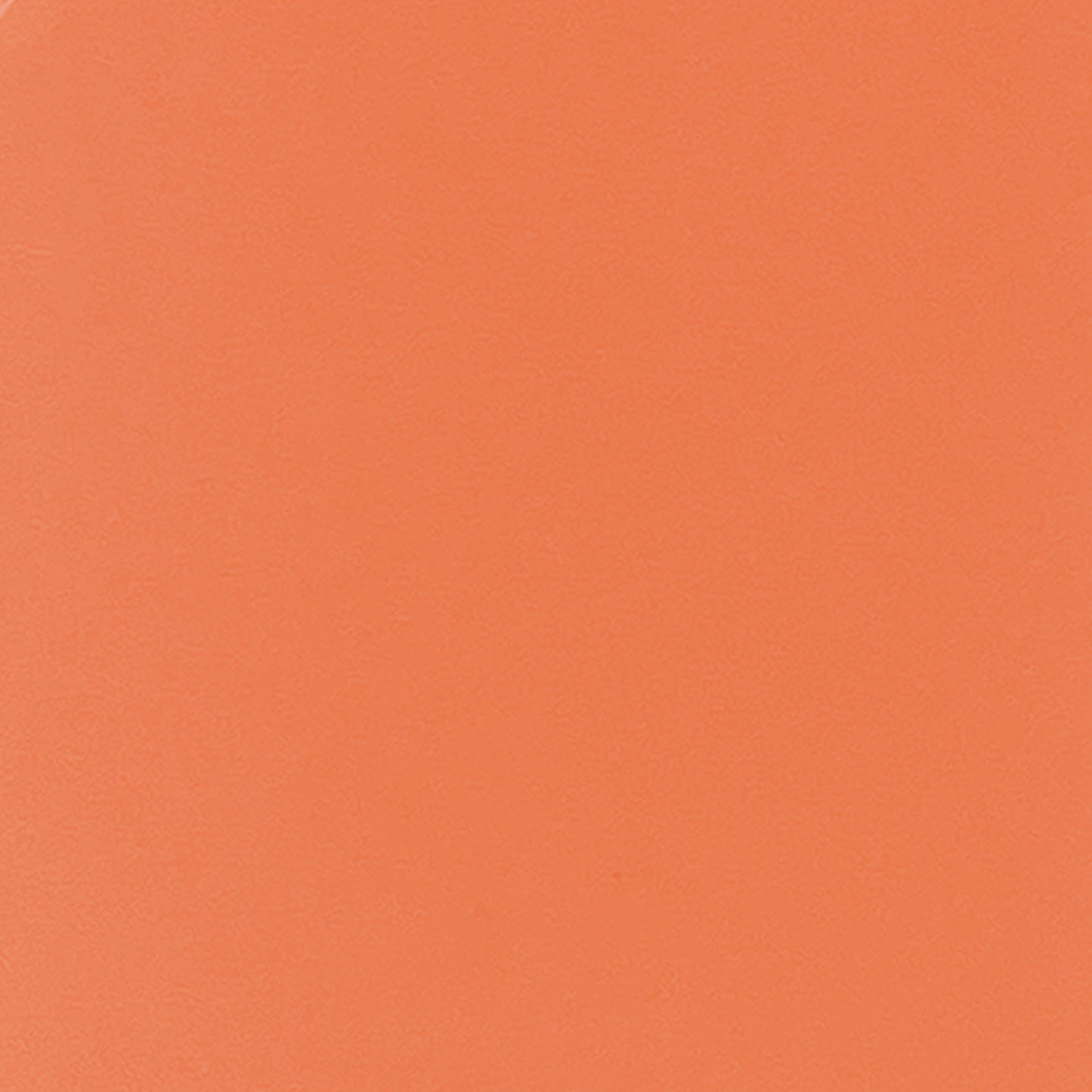 372440486.jpg