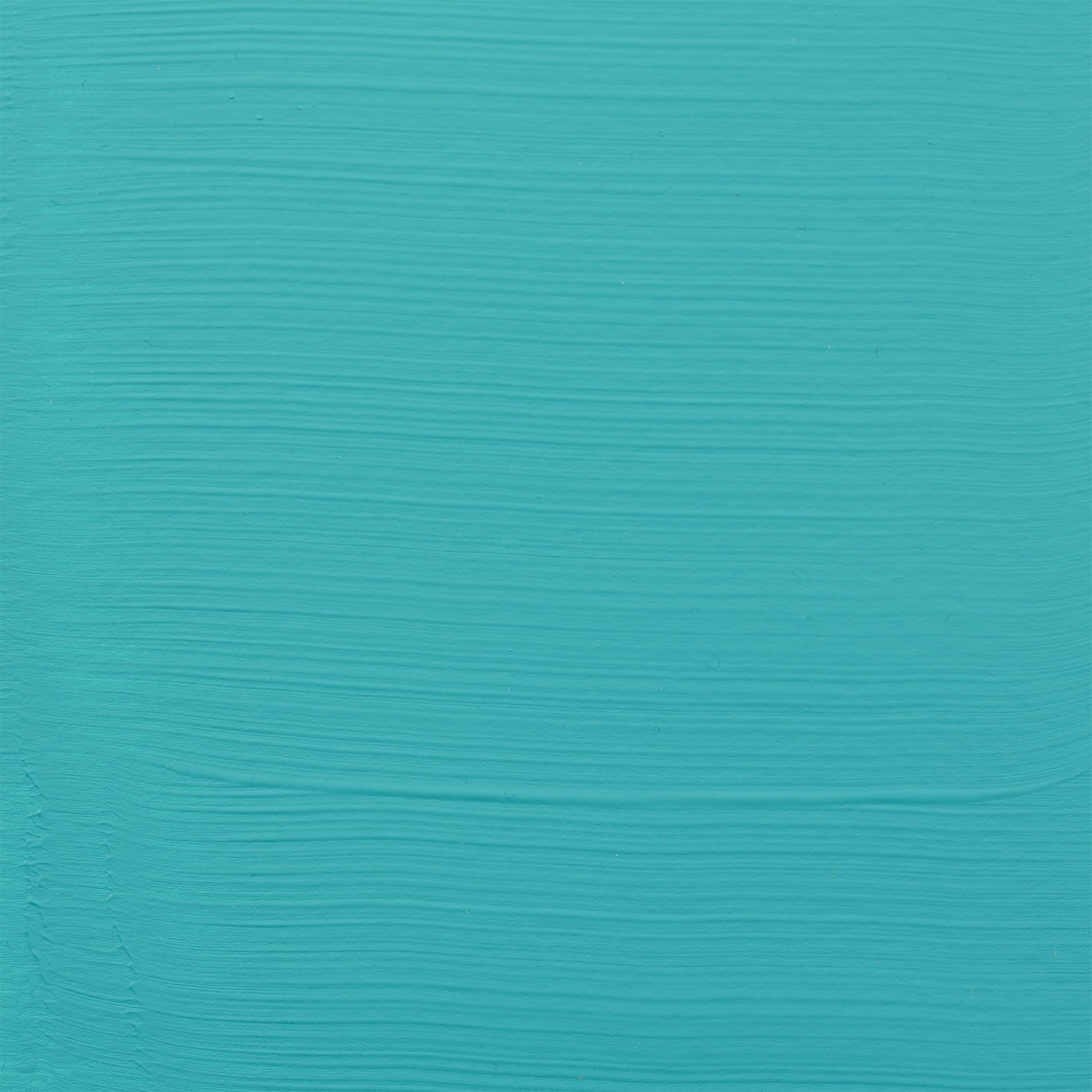 372443697.jpg