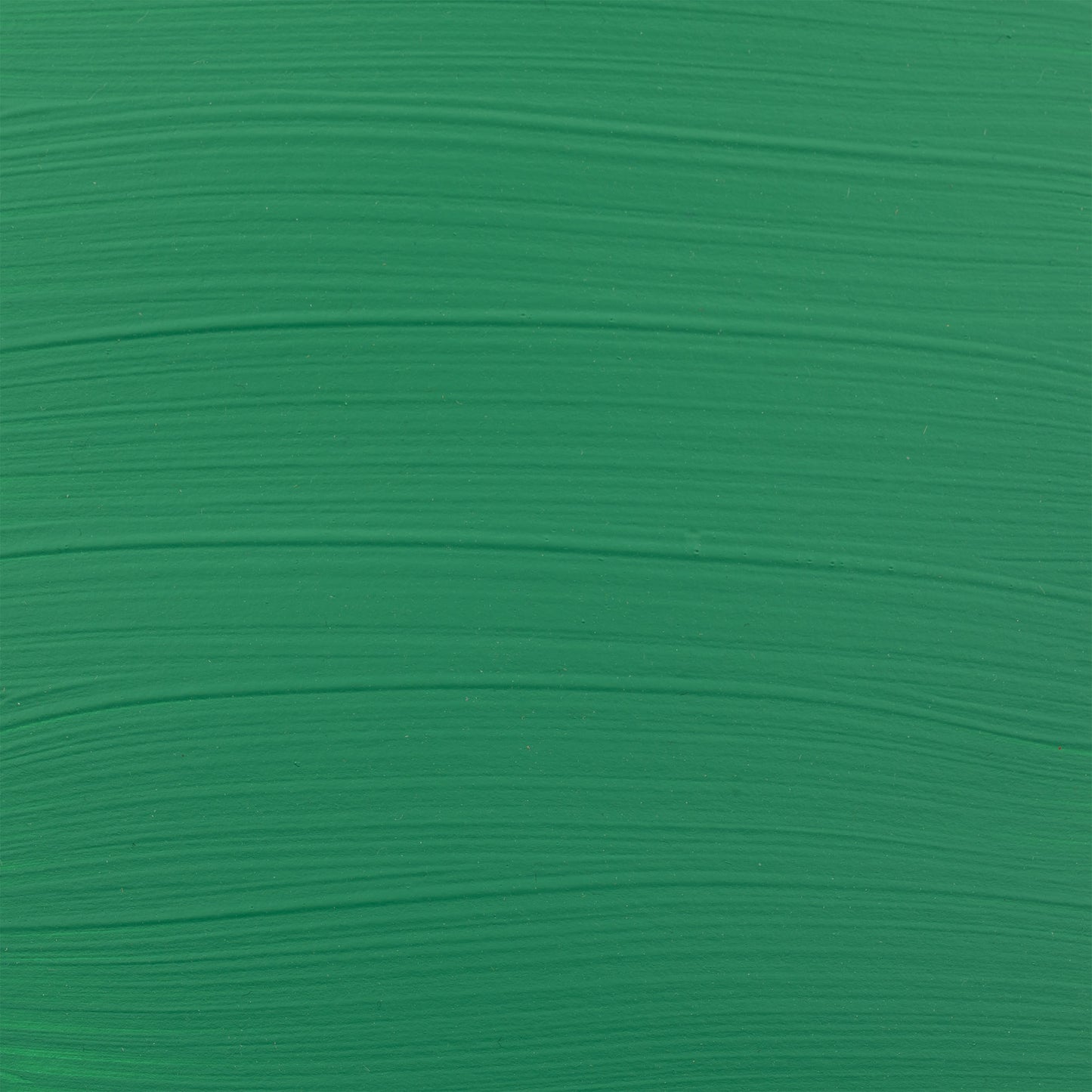 372444549.jpg