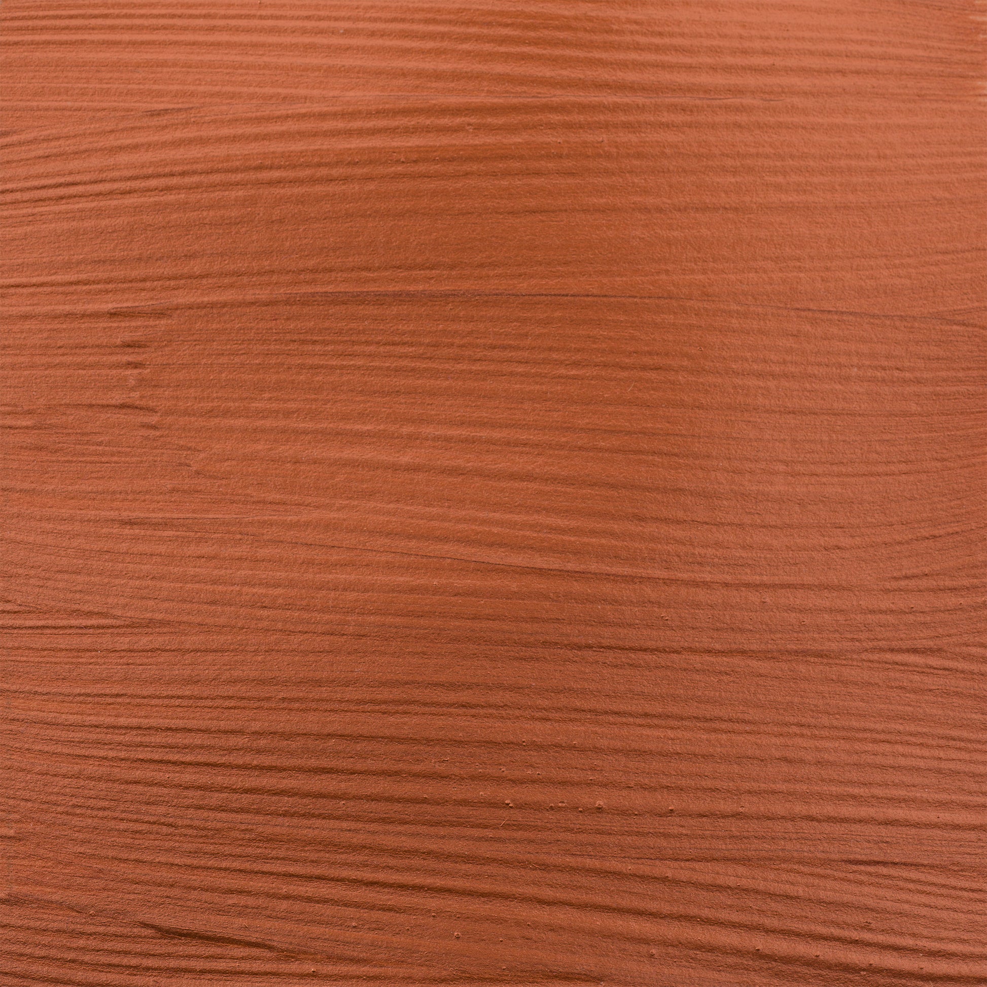 372445061.jpg