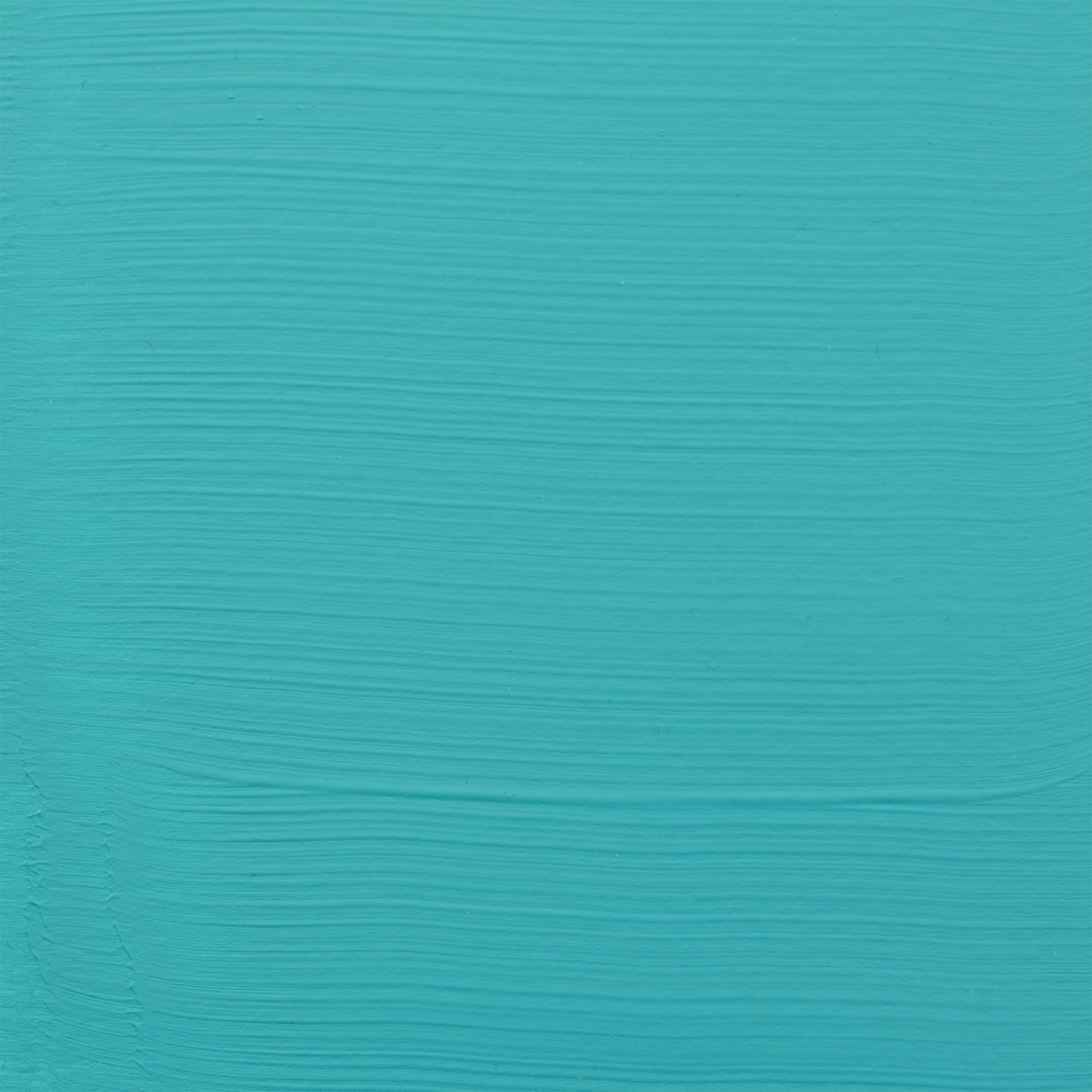 372445104.jpg