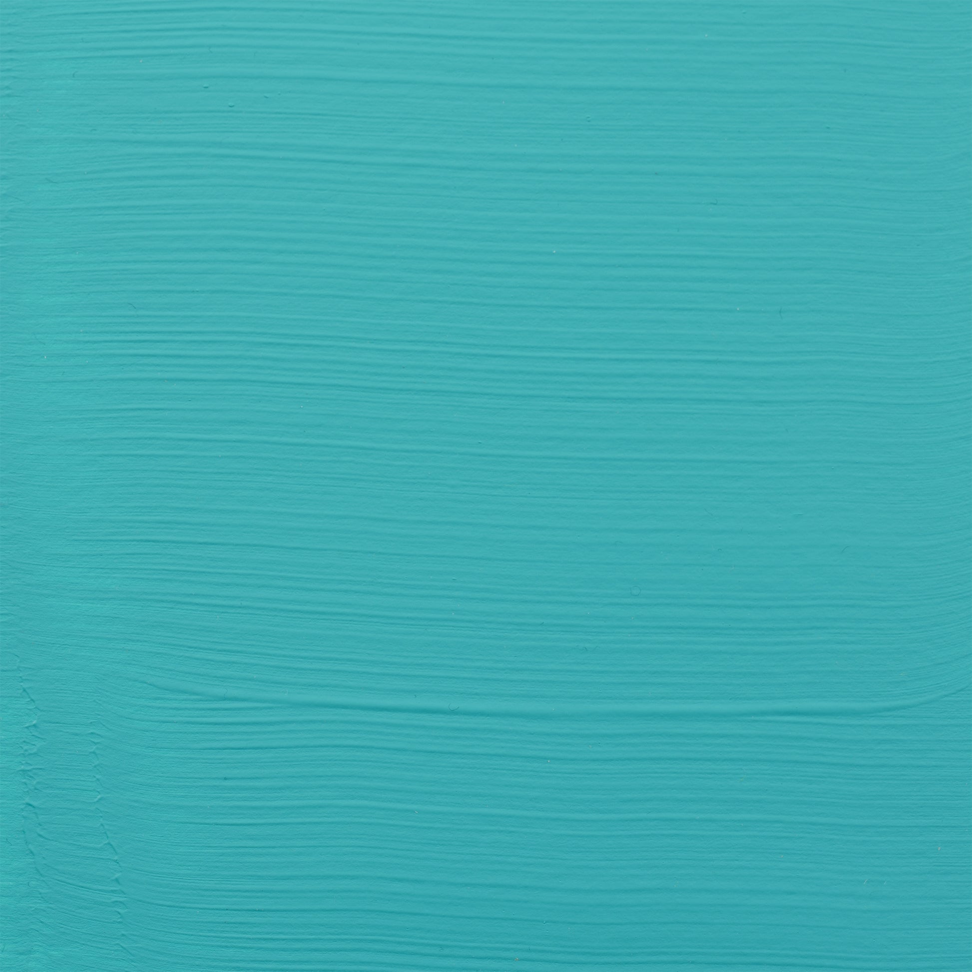 372445104.jpg