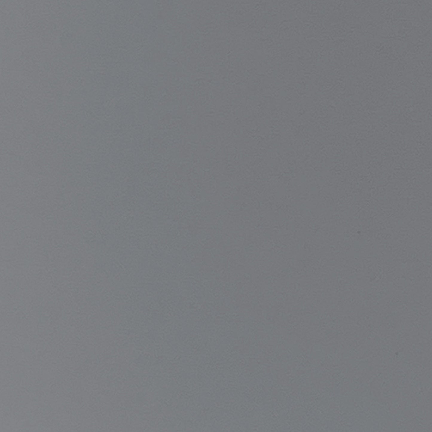 372445168.jpg