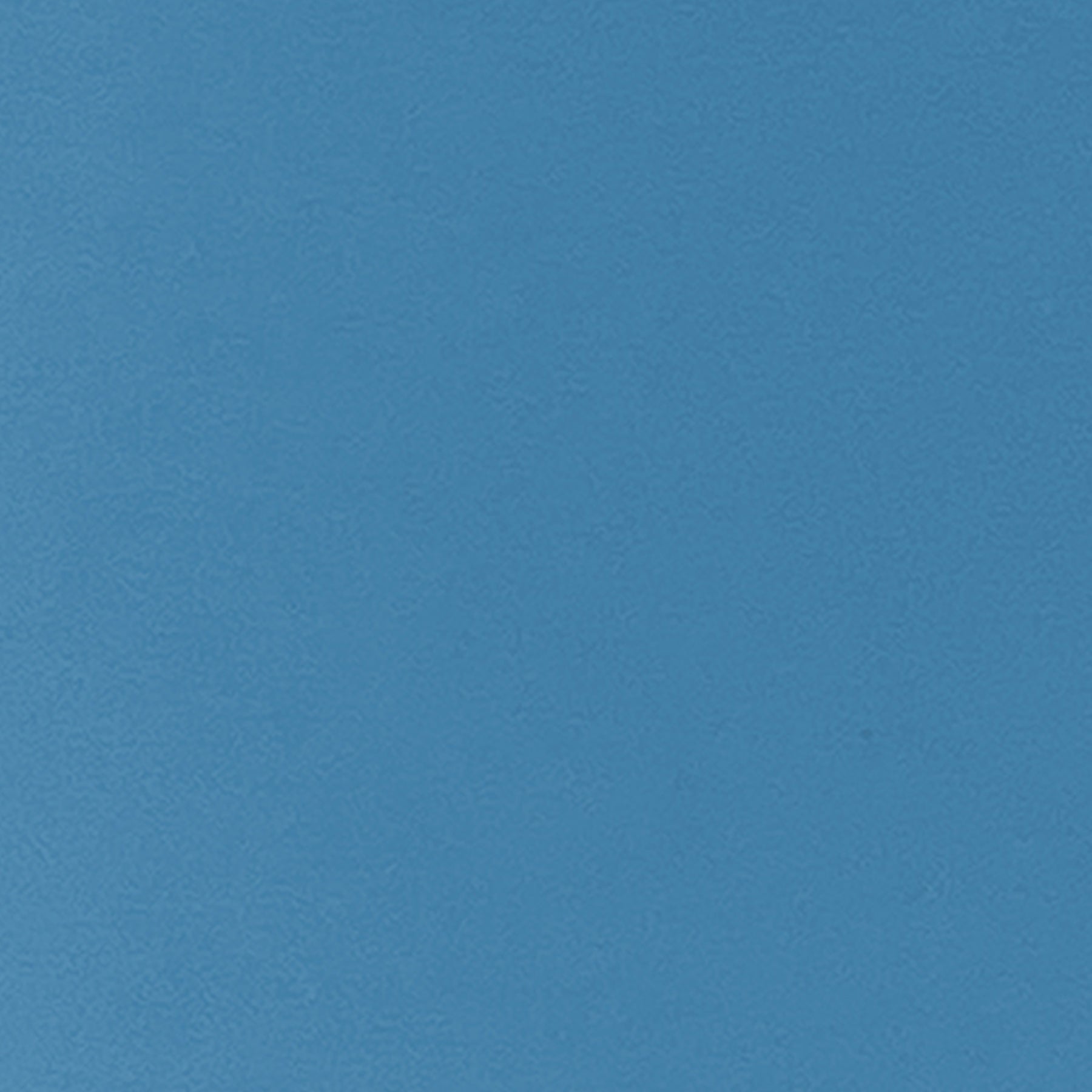 372445582.jpg