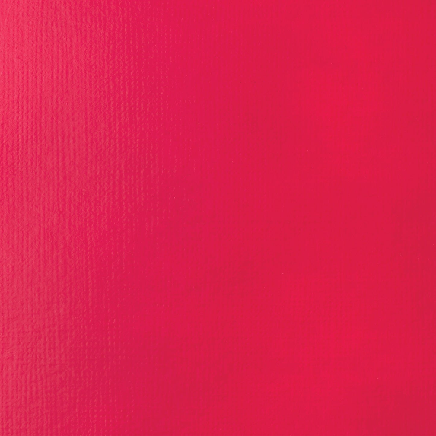 372446569.jpg