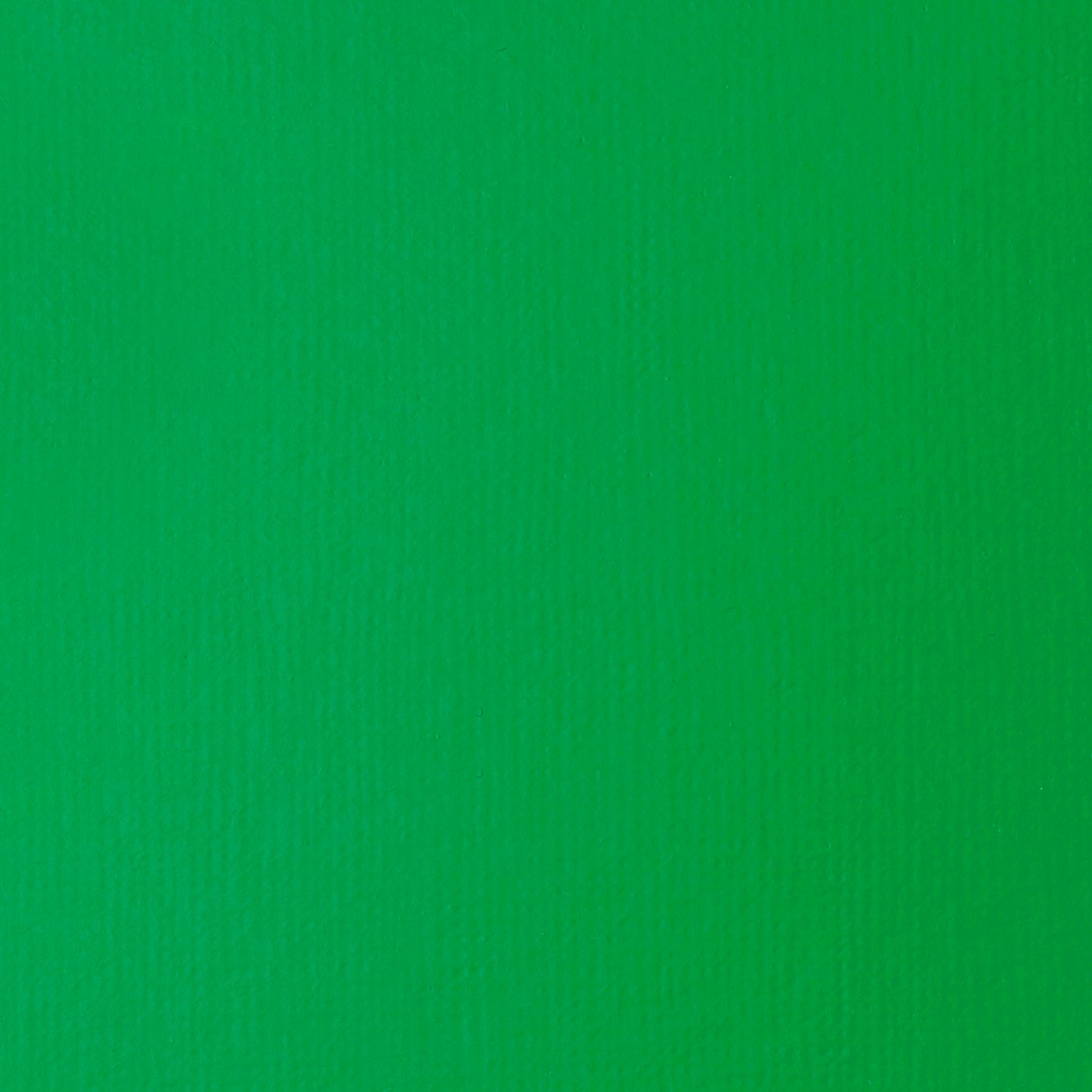 372446702.jpg