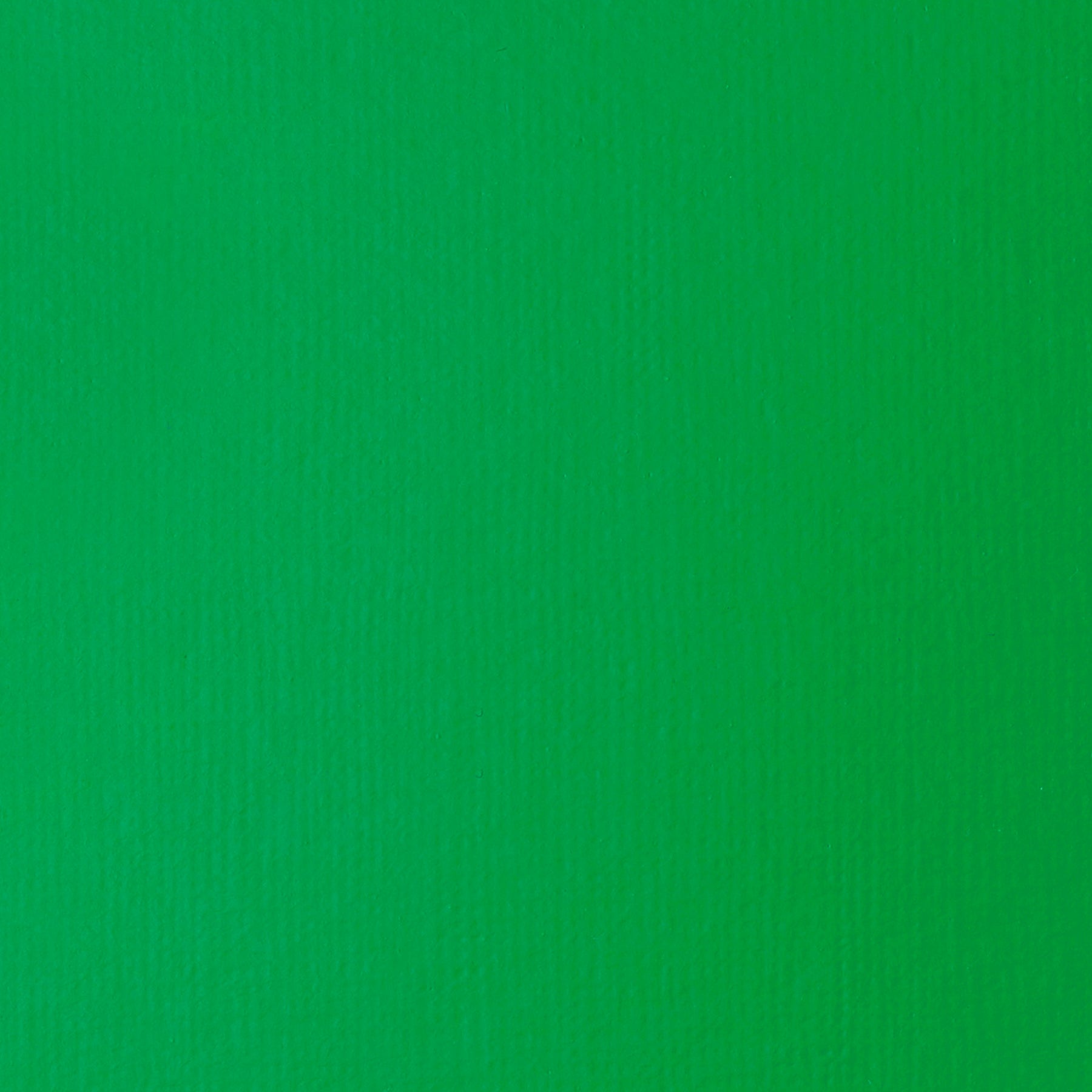 372446702.jpg