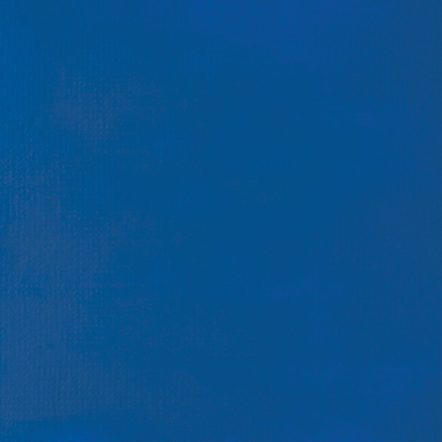 372446711.jpg