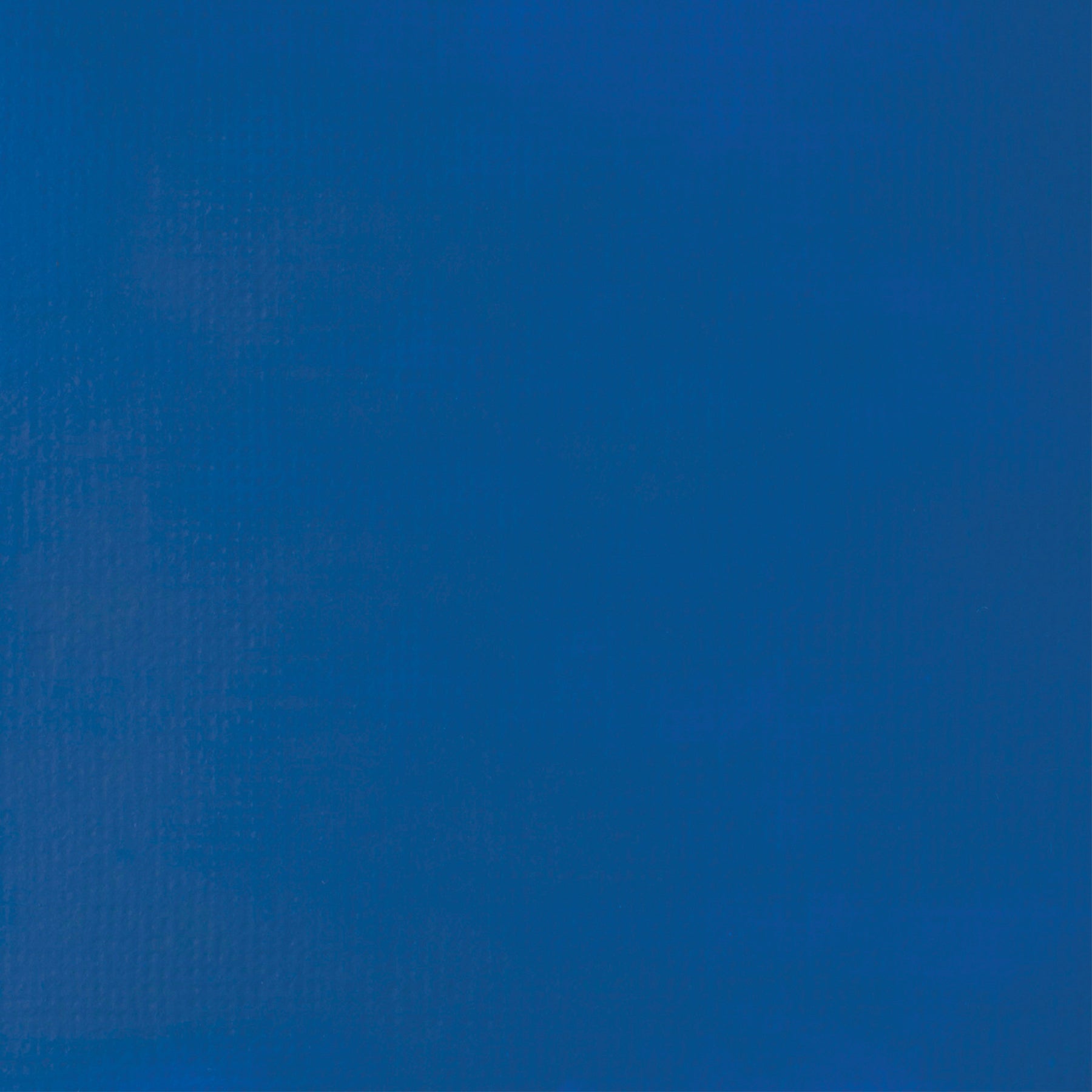 372446711.jpg