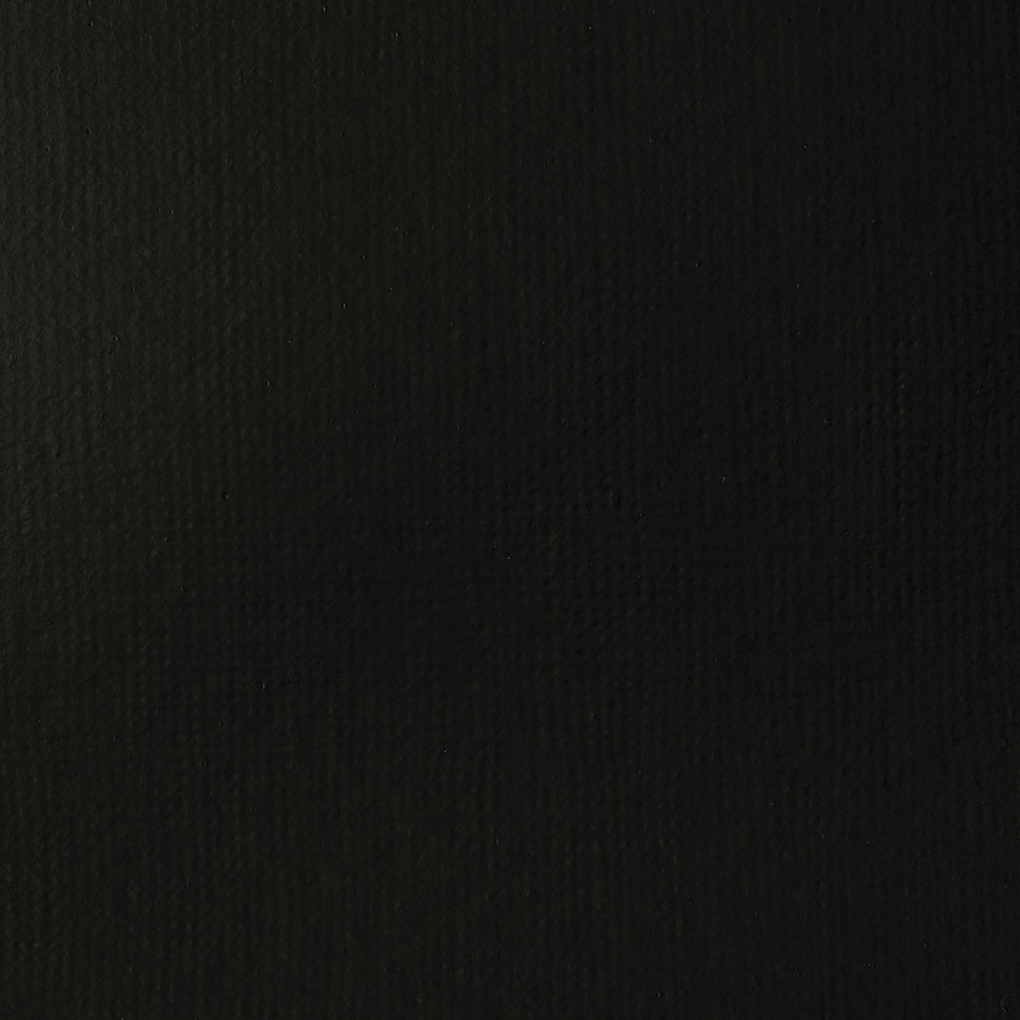 372446904.jpg