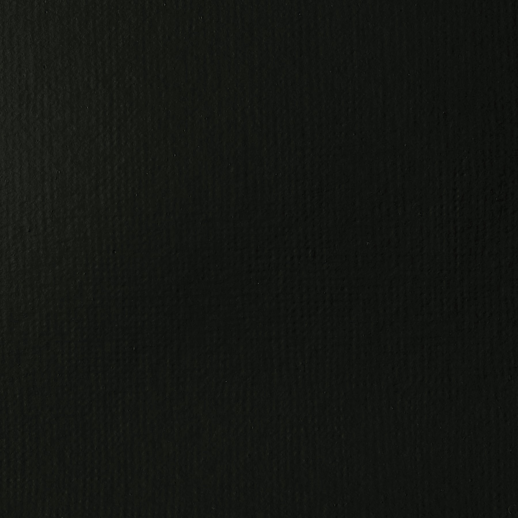 372446904.jpg