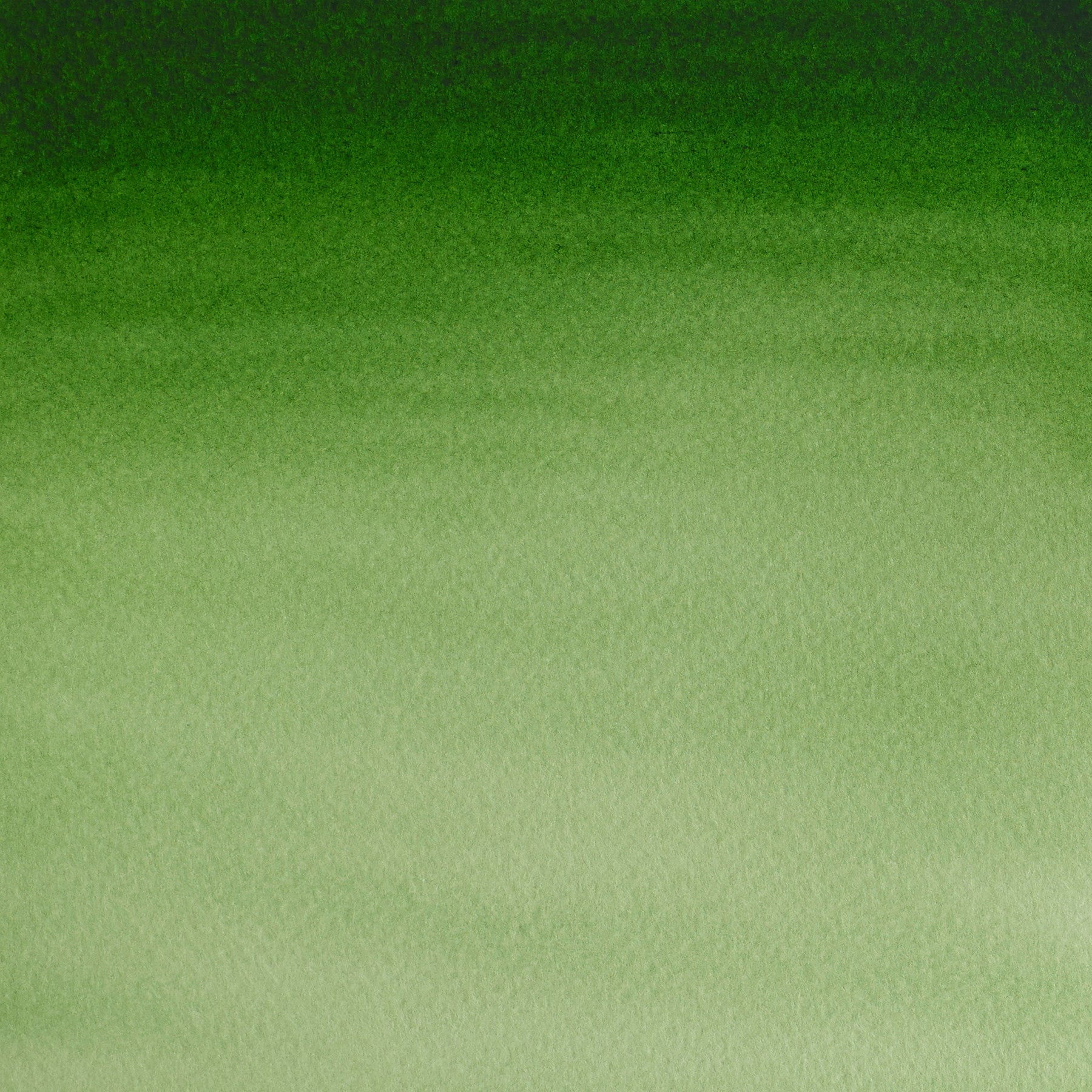 372447130.jpg